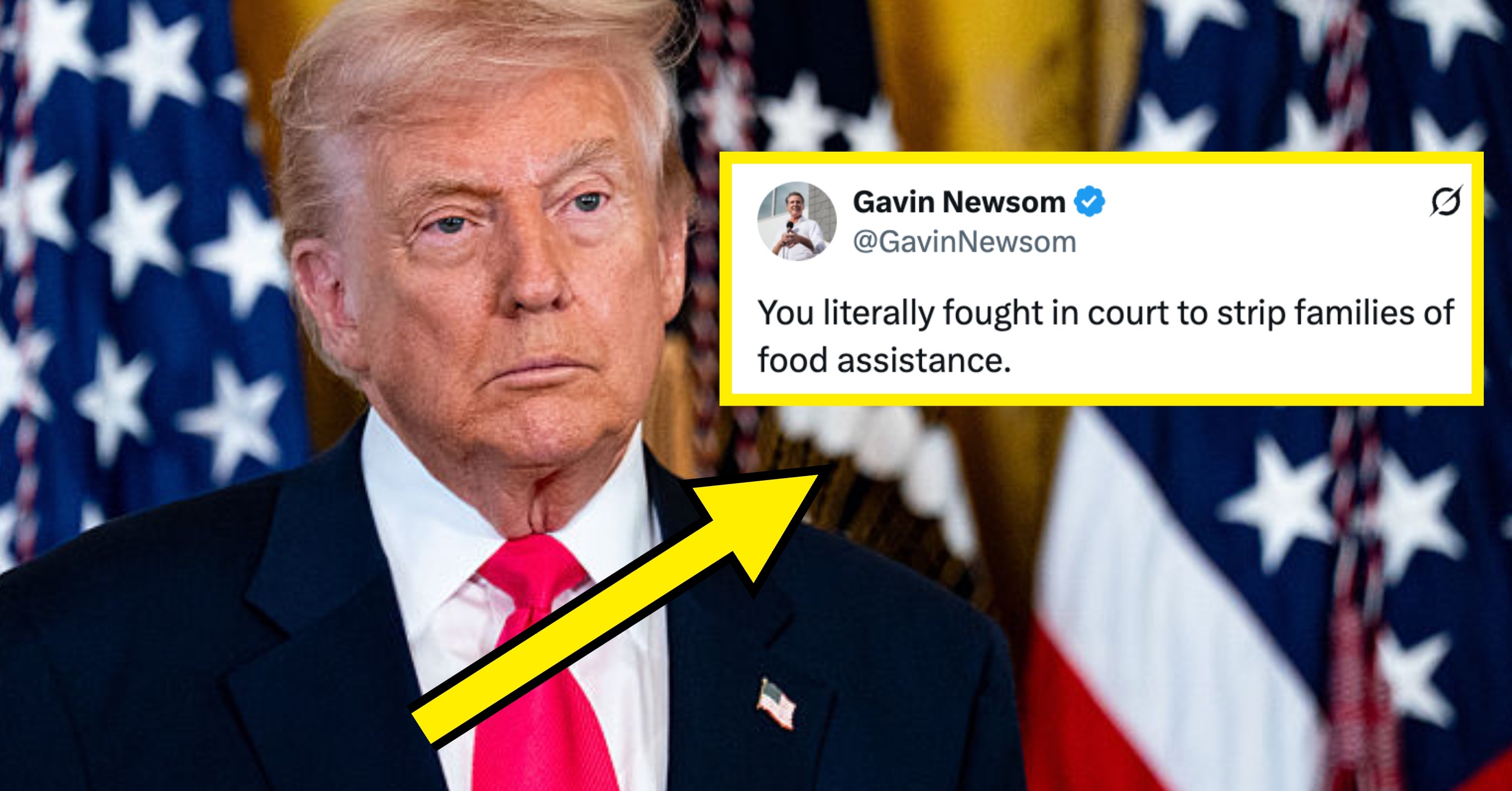 Gavin Newsom Had The Perfect Roast For Donald Trump After He Talked About Protecting Society's "Vulnerable Children"