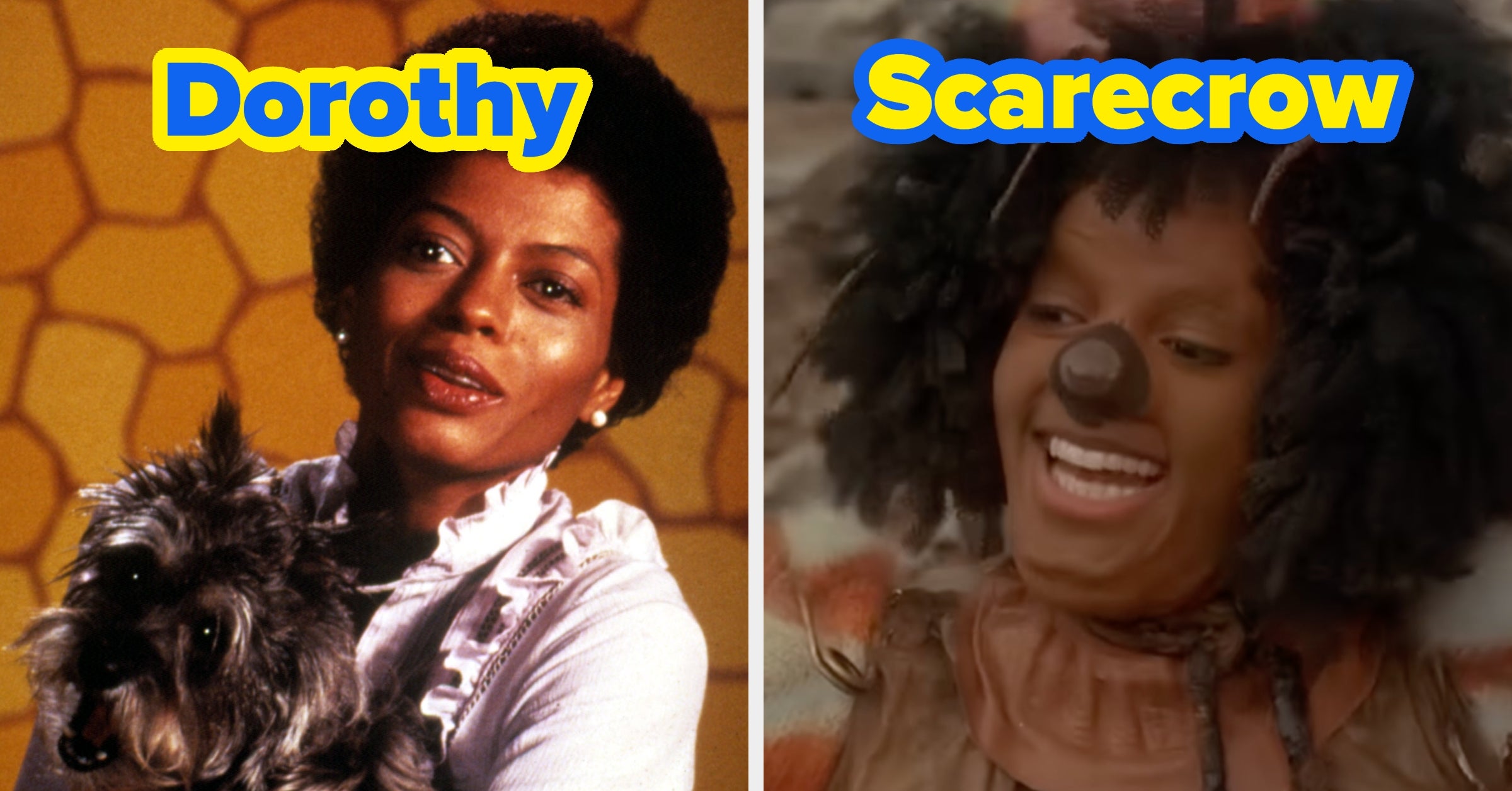 Which Character From "The Wiz" Are You?