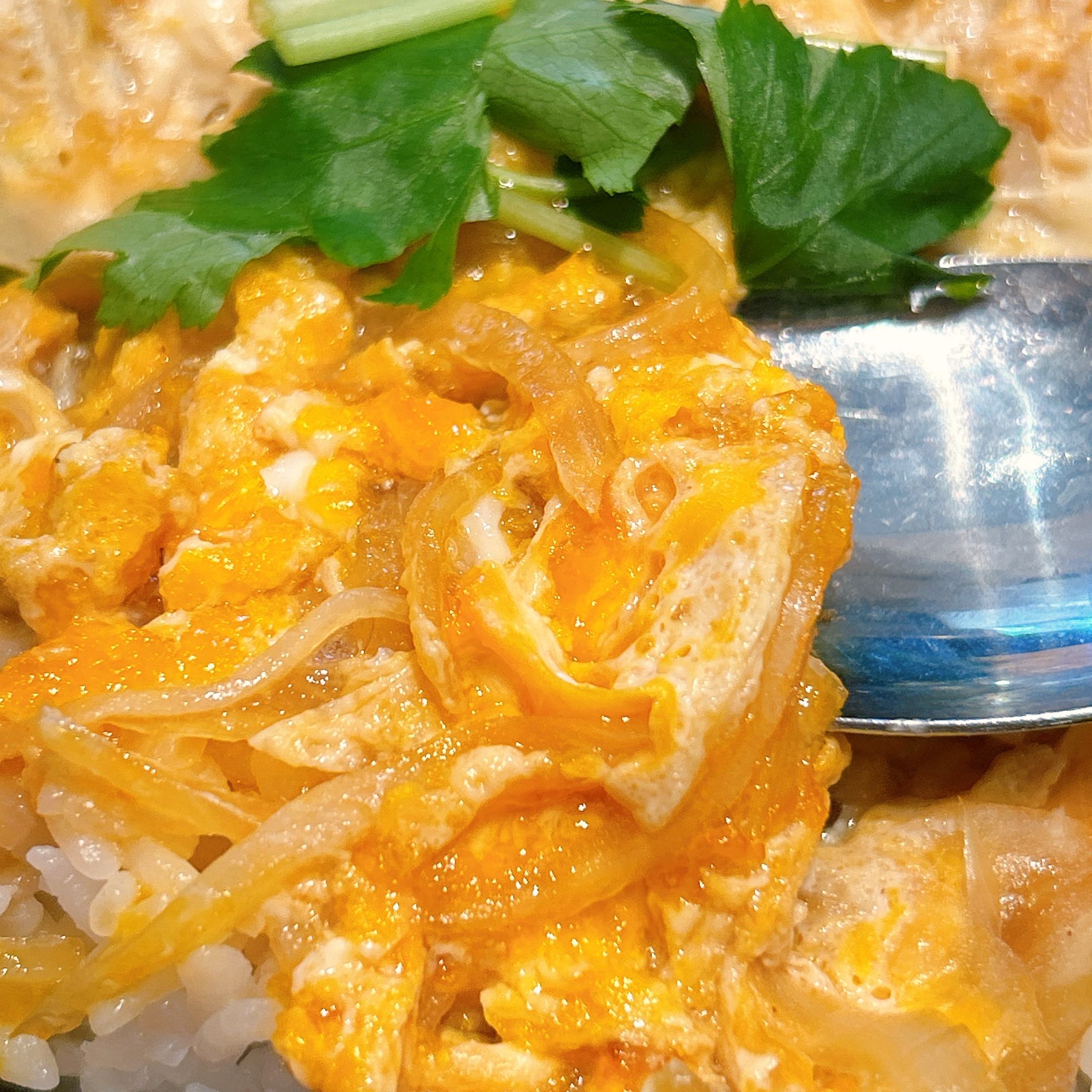 松のや】こういうのでいいんだよ！お得すぎる「330円モーニング