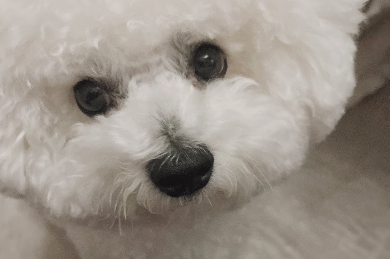 せとくん / 「せとくん（陰キャ）」さんのXアカウント（@seto_1022）より