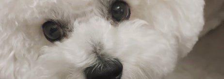 せとくん / 「せとくん（陰キャ）」さんのXアカウント（@seto_1022）より