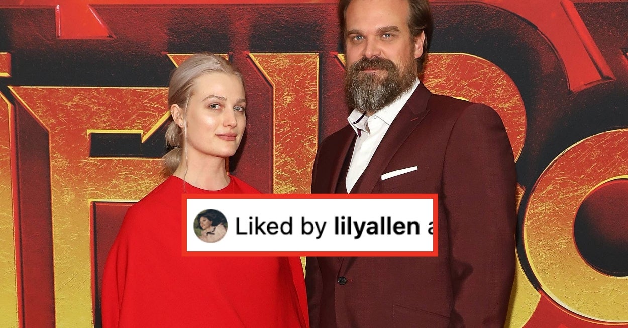 David Harbour's Ex, Alison Sudol, Described Him As A Bully