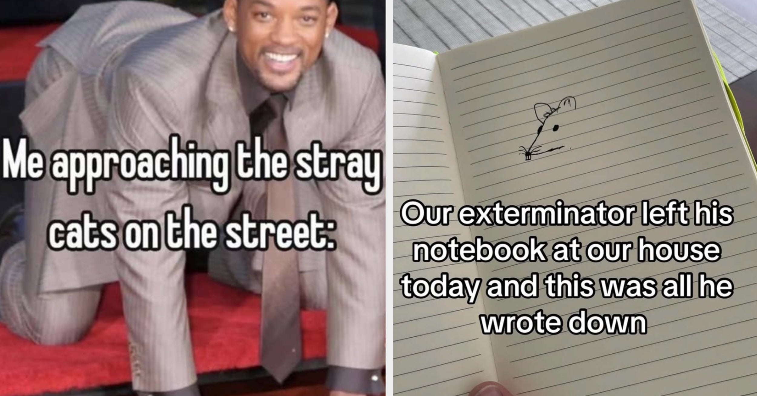 32 Painfully Dumb Screenshots That Get Funnier And Funnier And Funnier And Funnier And Funnier And Funnier No Matter How Many Times I've Seen Them