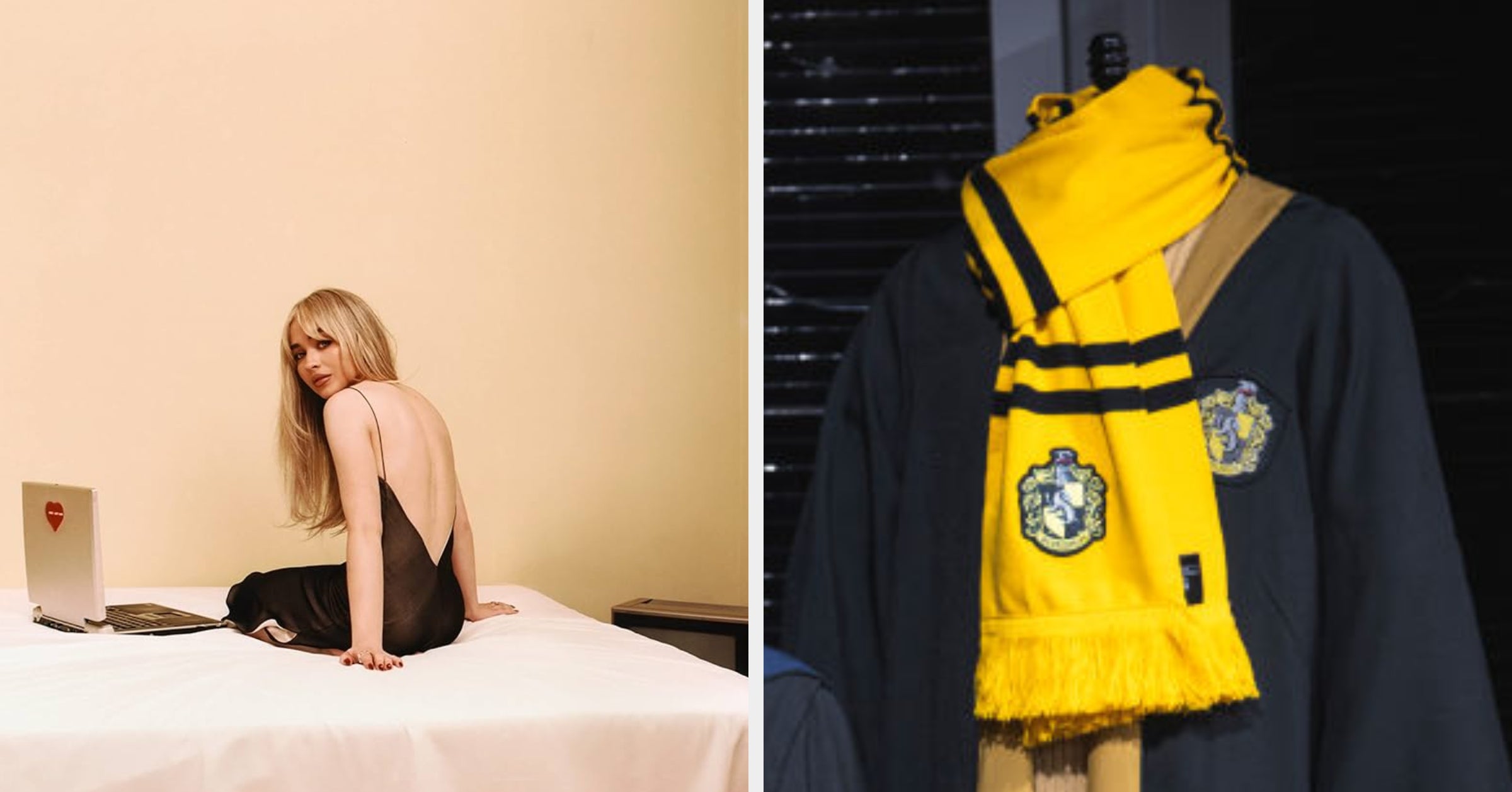 Sort These Olivia Rodrigo And Sabrina Carpenter Albums Into Their Correct Hogwarts Houses!