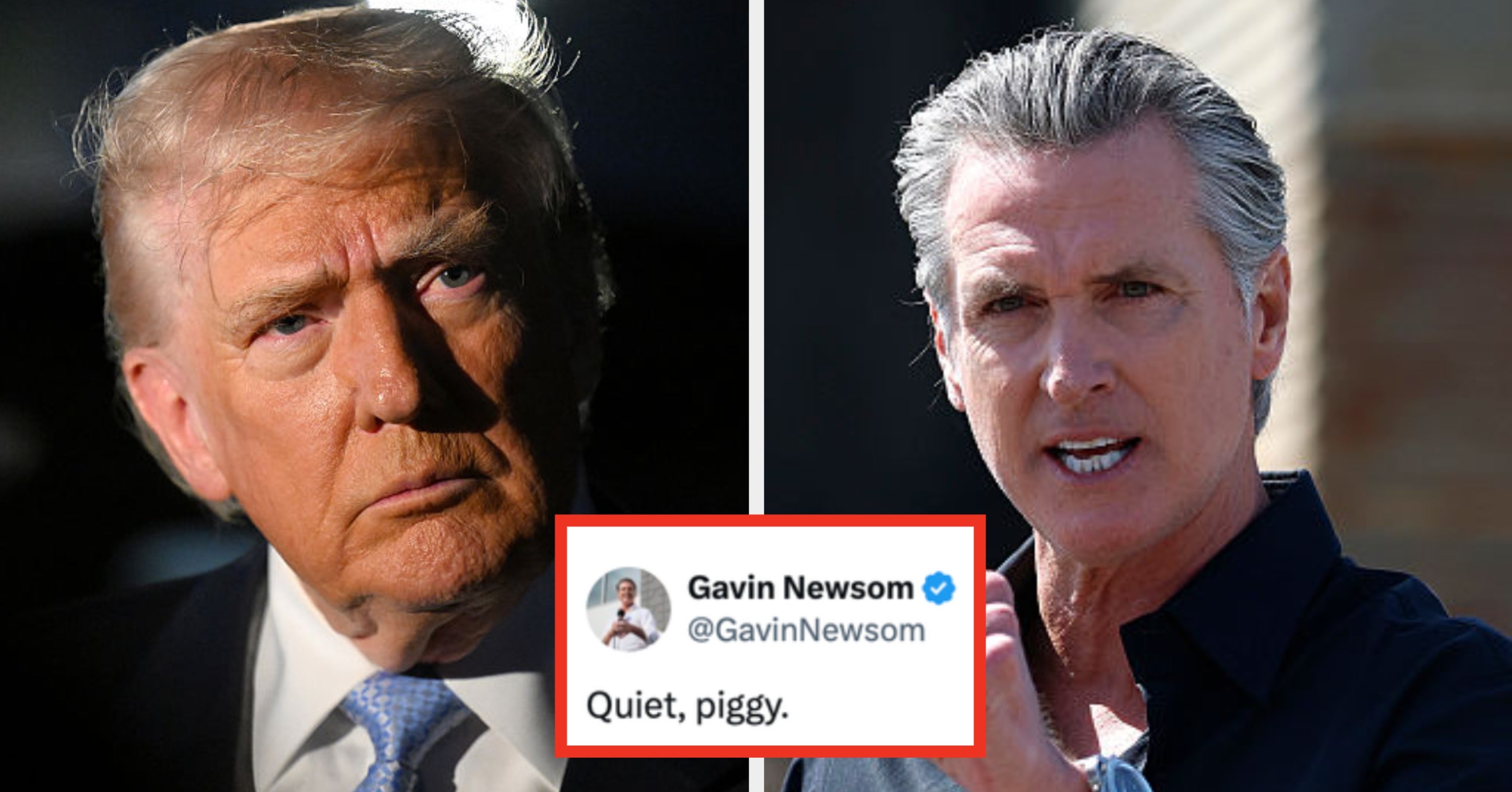 Gavin Newsom Is Dragging Donald Trump All Over The Internet For That “Quiet Piggy” Comment