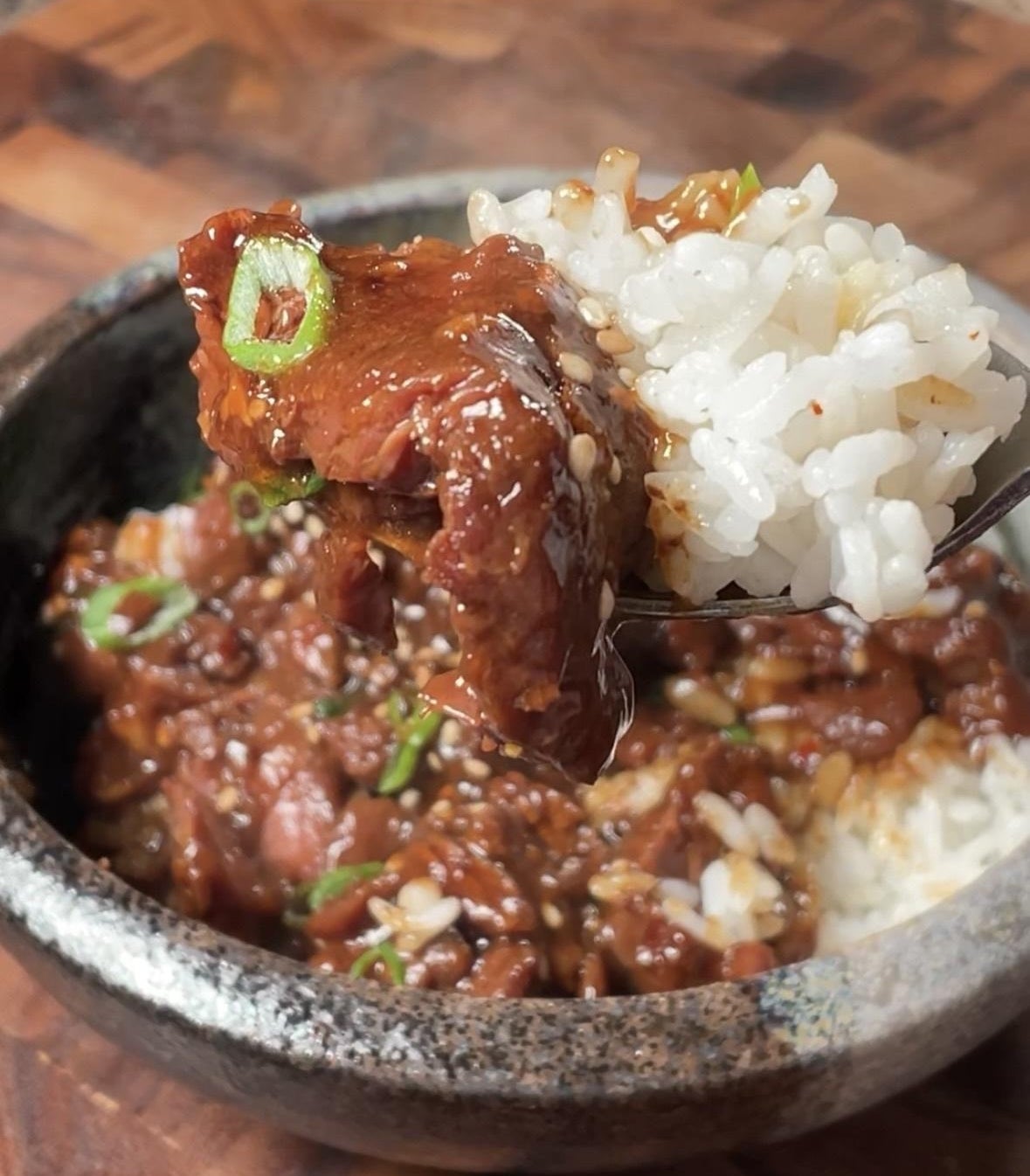 A close-up of a fork holding rice and beef covered in a rich sauce, above a bowl filled with more rice and beef. Garnished with green onions