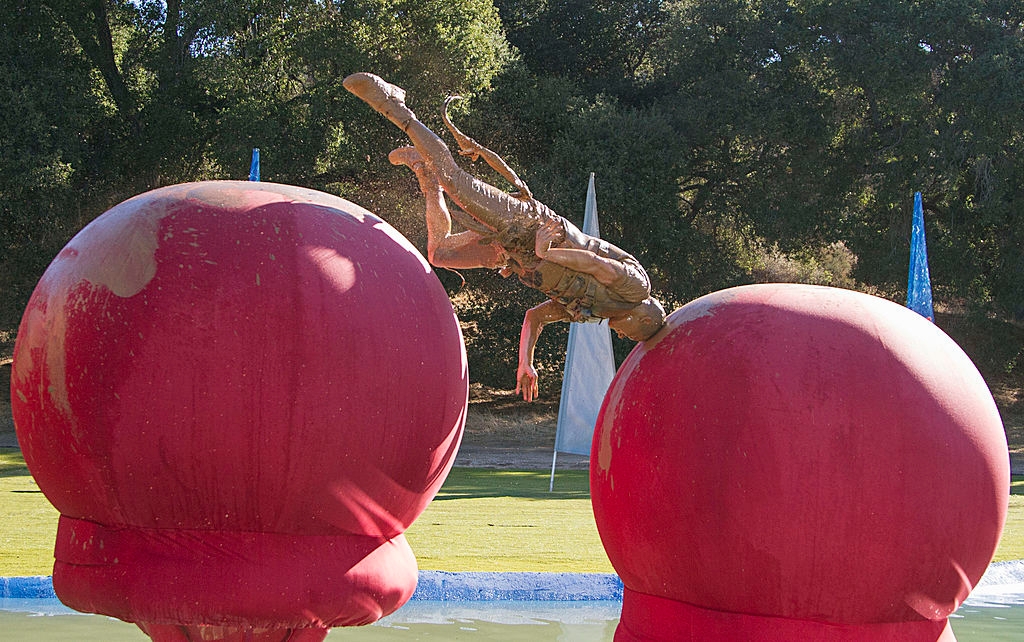 Person slipping and falling betwixt 2 ample inflatable reddish balls successful an outdoor obstacle course