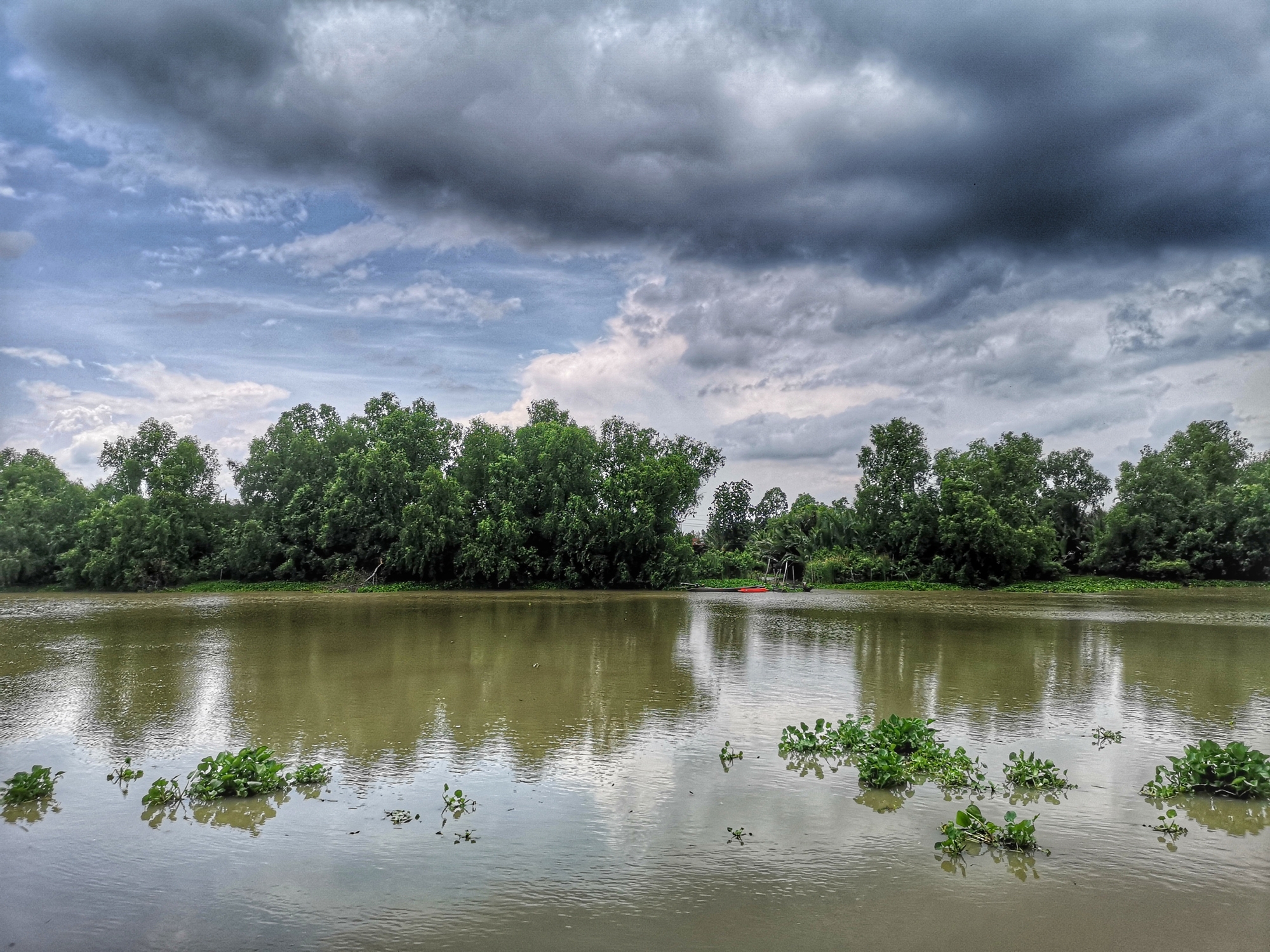 Cloudy entity implicit a calm water with reflections of trees, creating a serene earthy landscape
