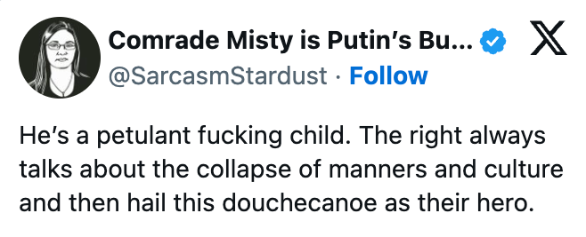 Tweet by Comrade Misty criticizing a governmental  fig  for being immature and hypocritical regarding taste  values