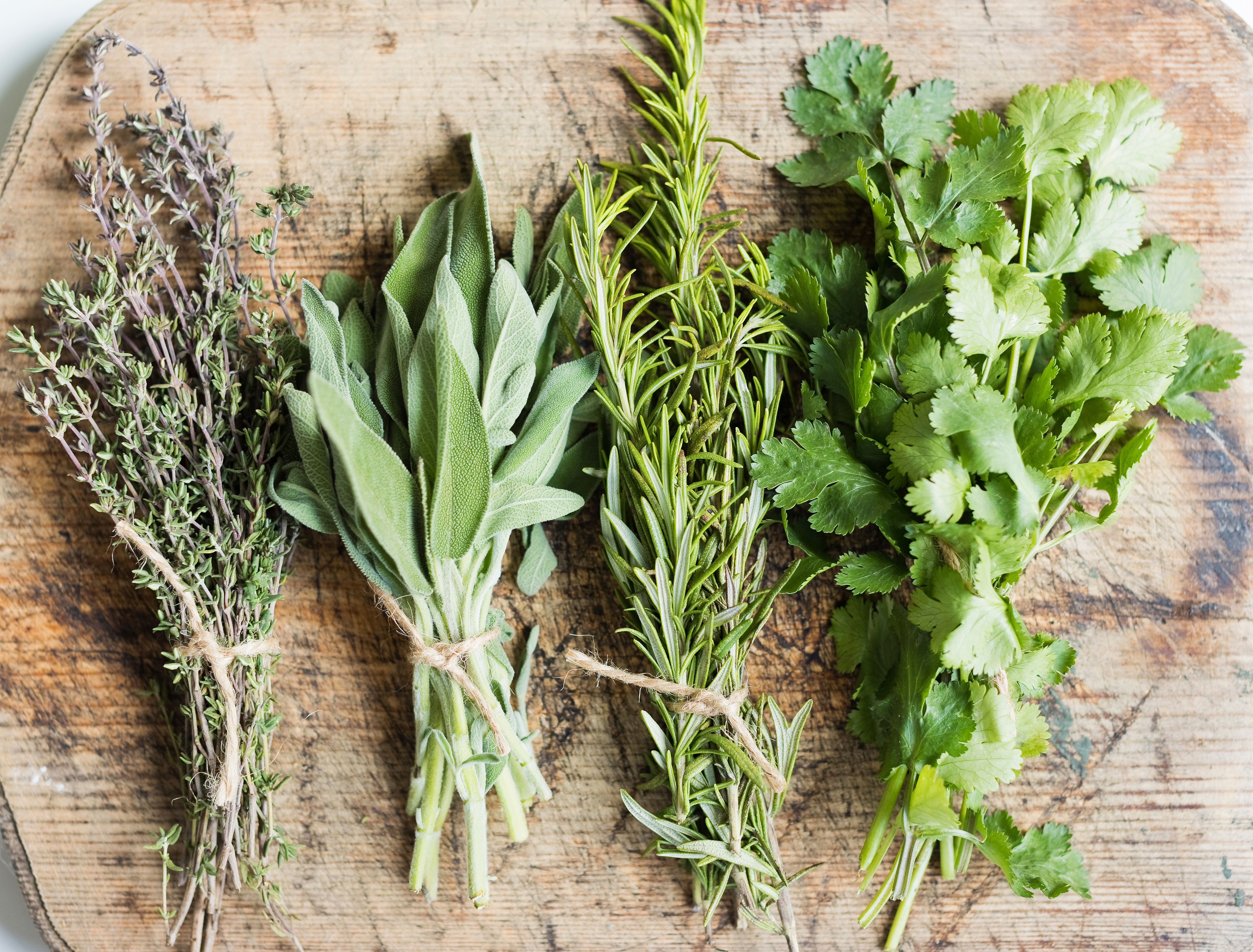 Bundles of fresh herbs on a wooden surface: thyme, sage, rosemary, and cilantro. Each is tied with twine