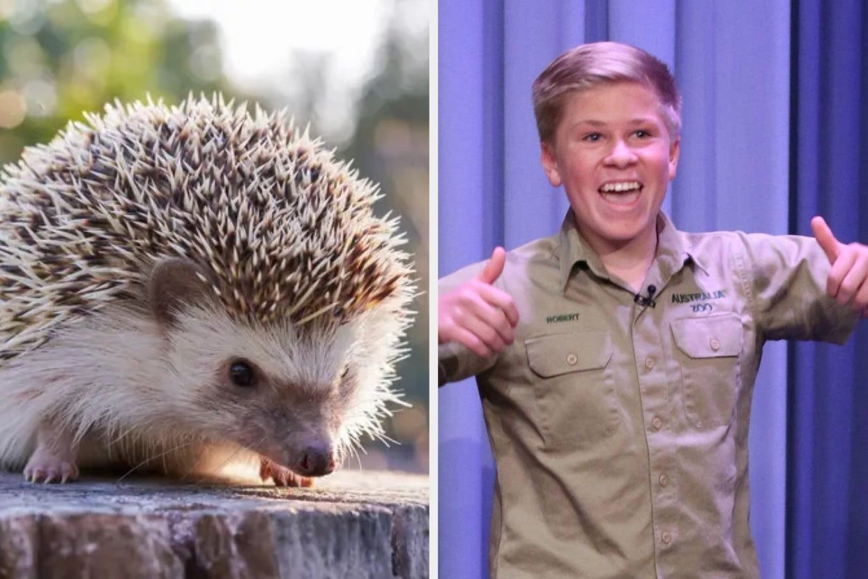 We're Showing You 20 Confusingly Similar Animals And Bet You Can't Tell Them All Apart