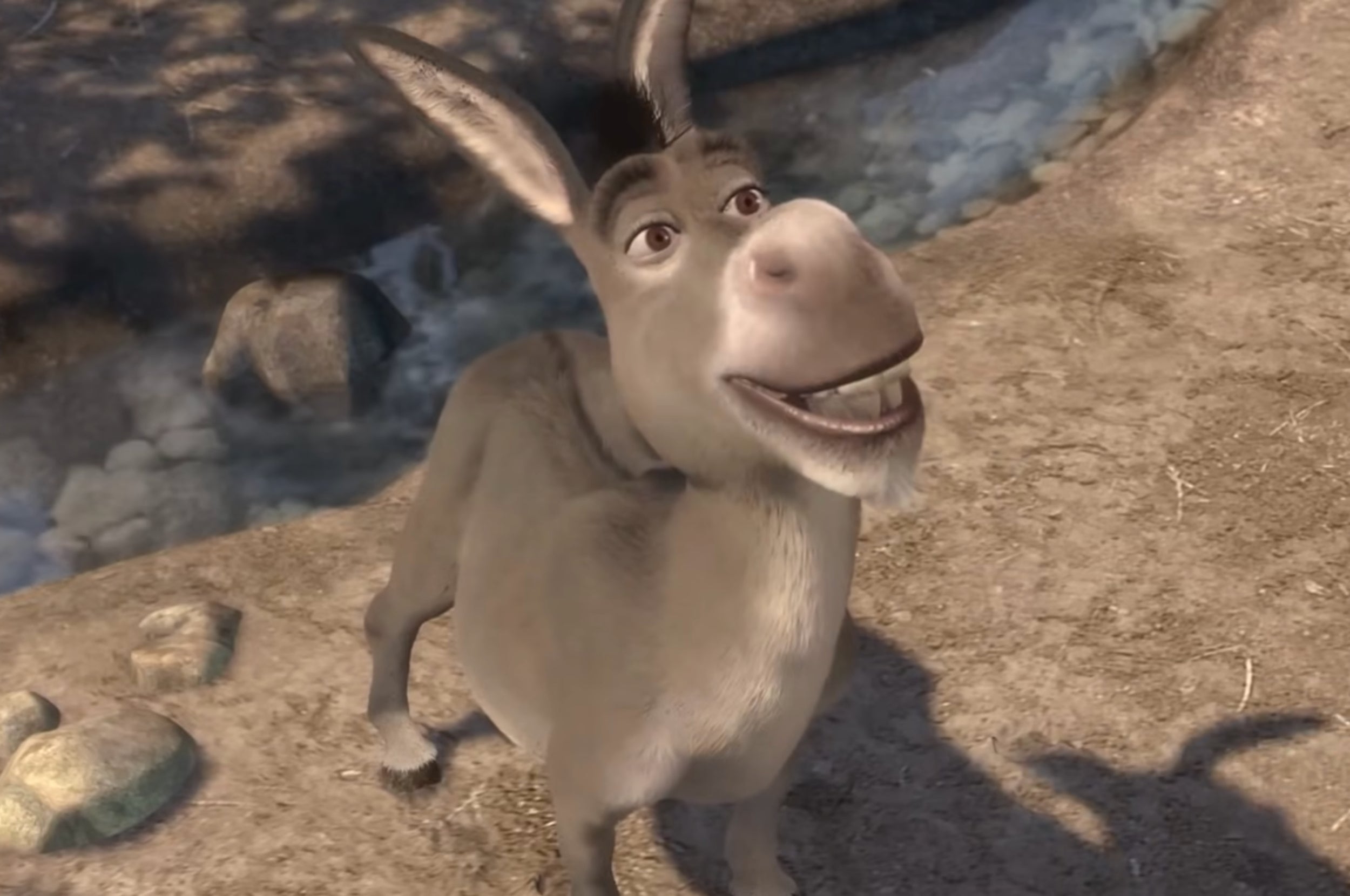 Donkey from Shrek looking up and smiling