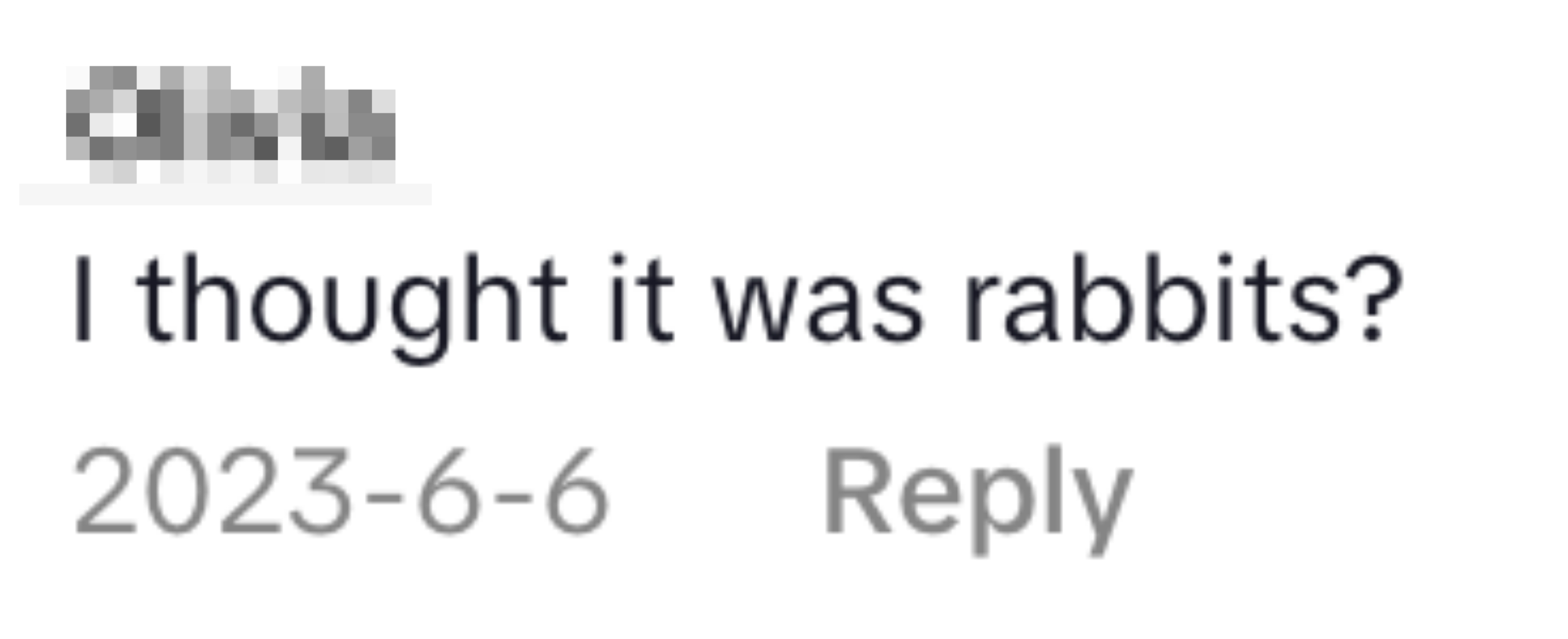 "I thought it was rabbits?"