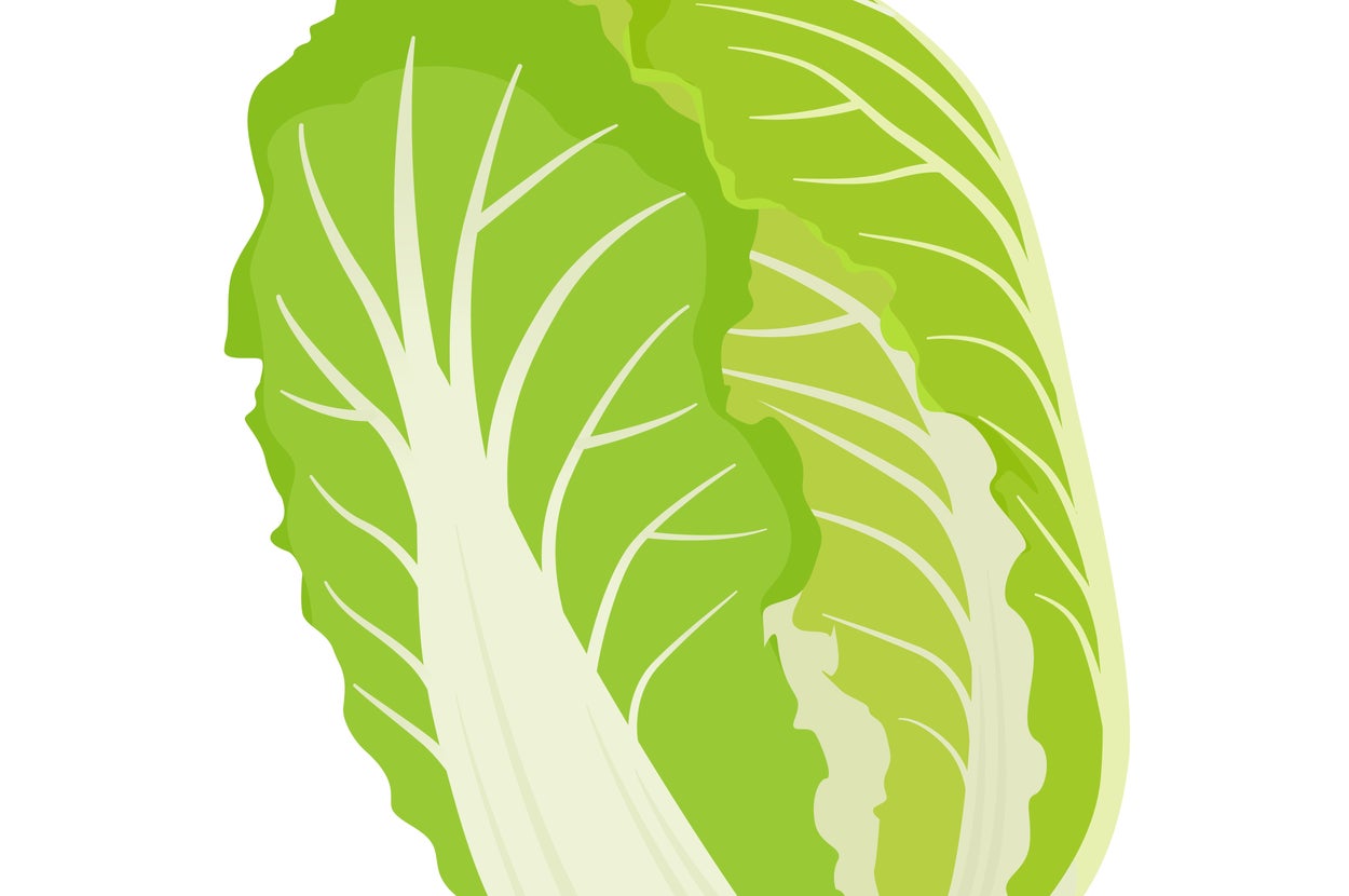 白菜のイラスト（AKO / Getty Images）