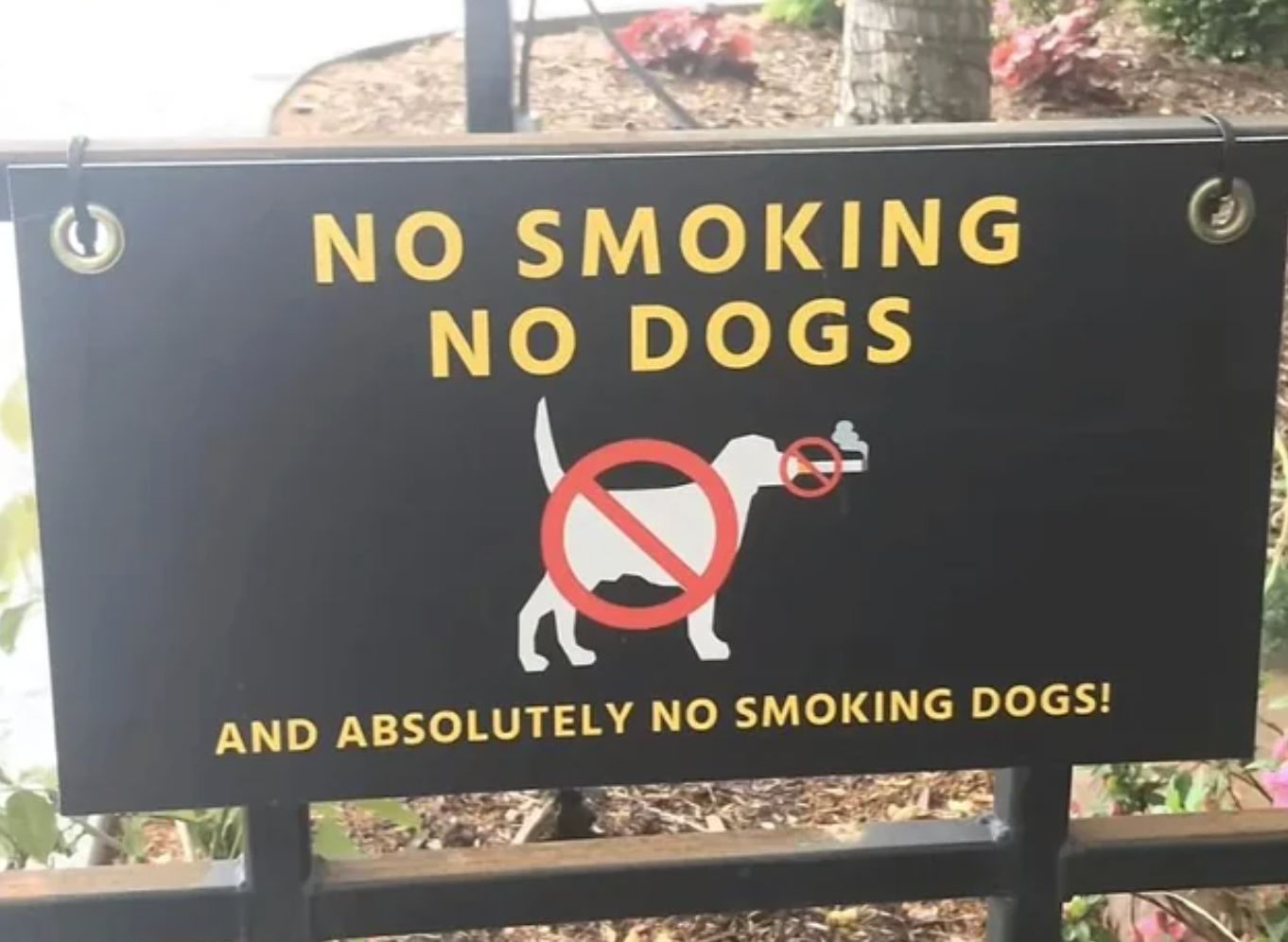  "And perfectly  nary  smoking dogs!"
