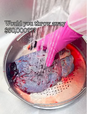 Cardi B Turns Umbilical Cord Into Luxury Jewelry