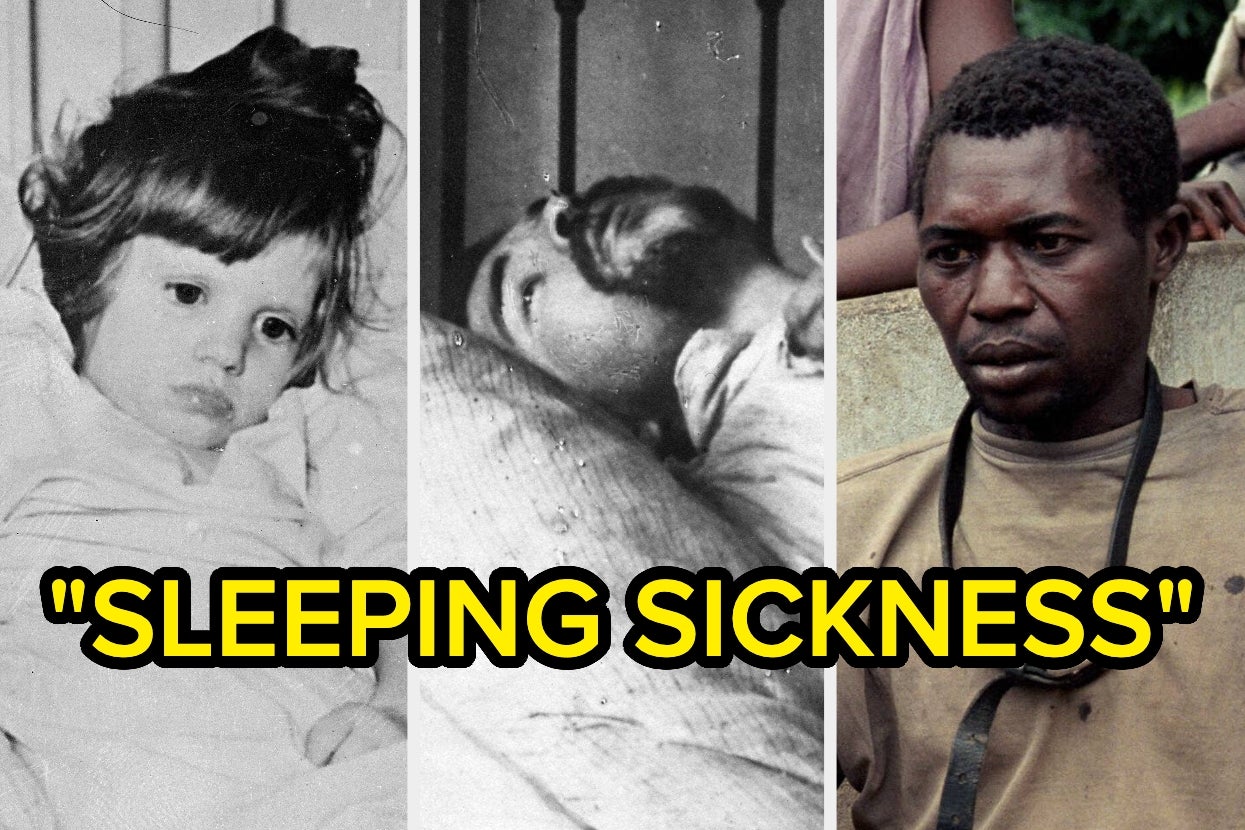 Just A Few Of The Weird, Dark, And Creepy Things I Learned This Week Because I Have No Self-Control