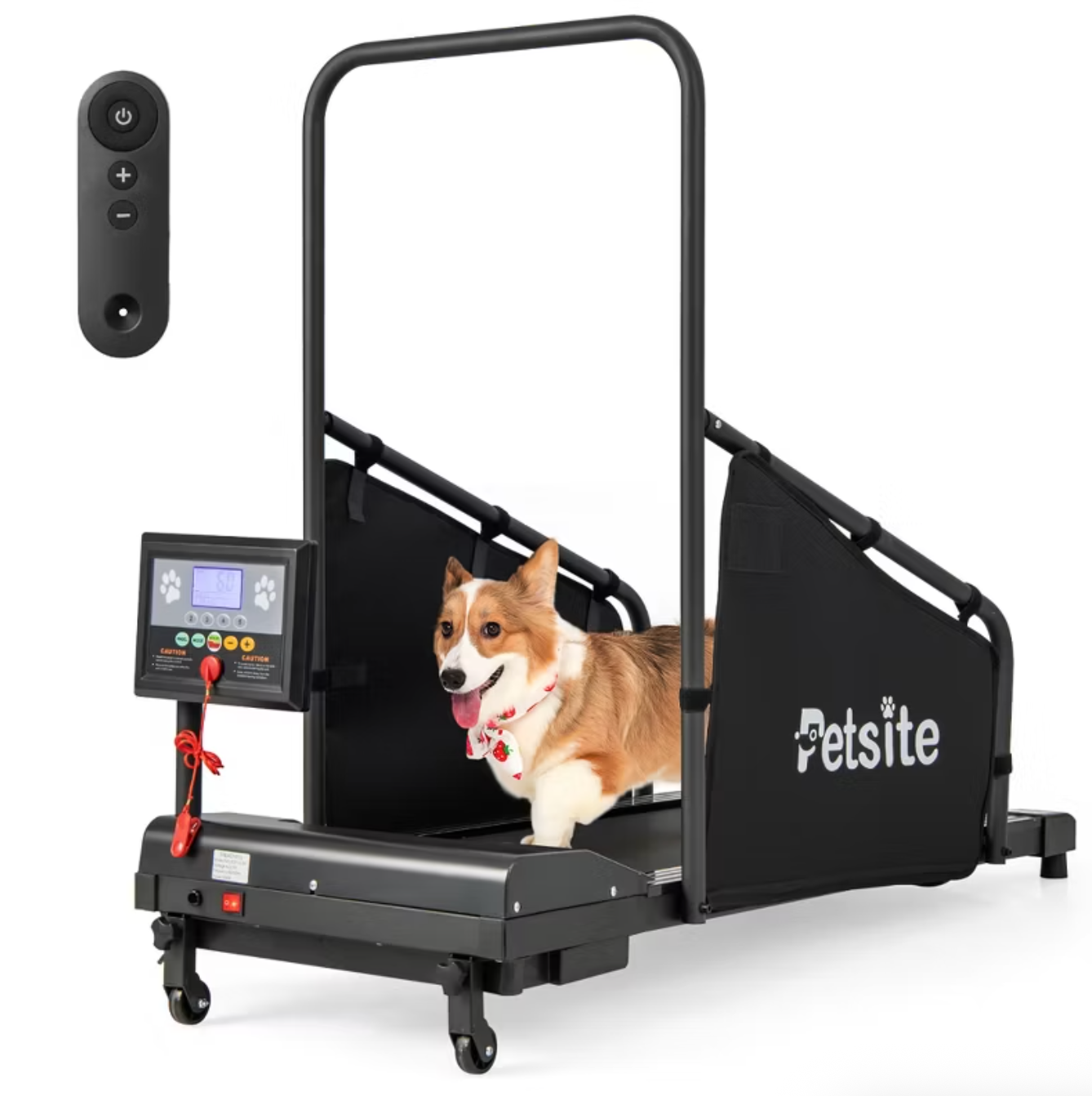 18 Best Treadmills For Dogs 2026 SZrrwzYmT