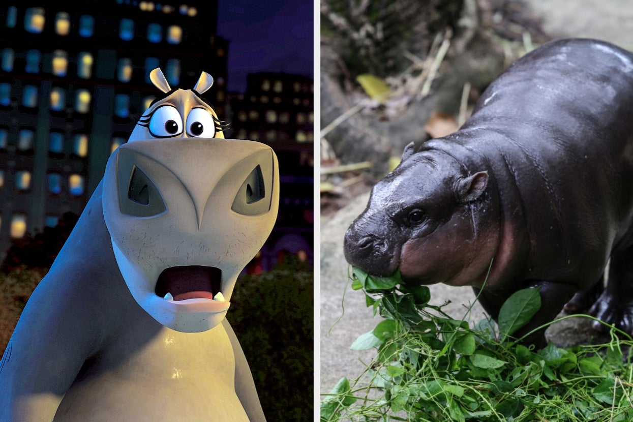 After This Quiz, You'll Never Have To Lose Sleep Wondering Who Your Famous Hippo Alter Ego Is Ever Again