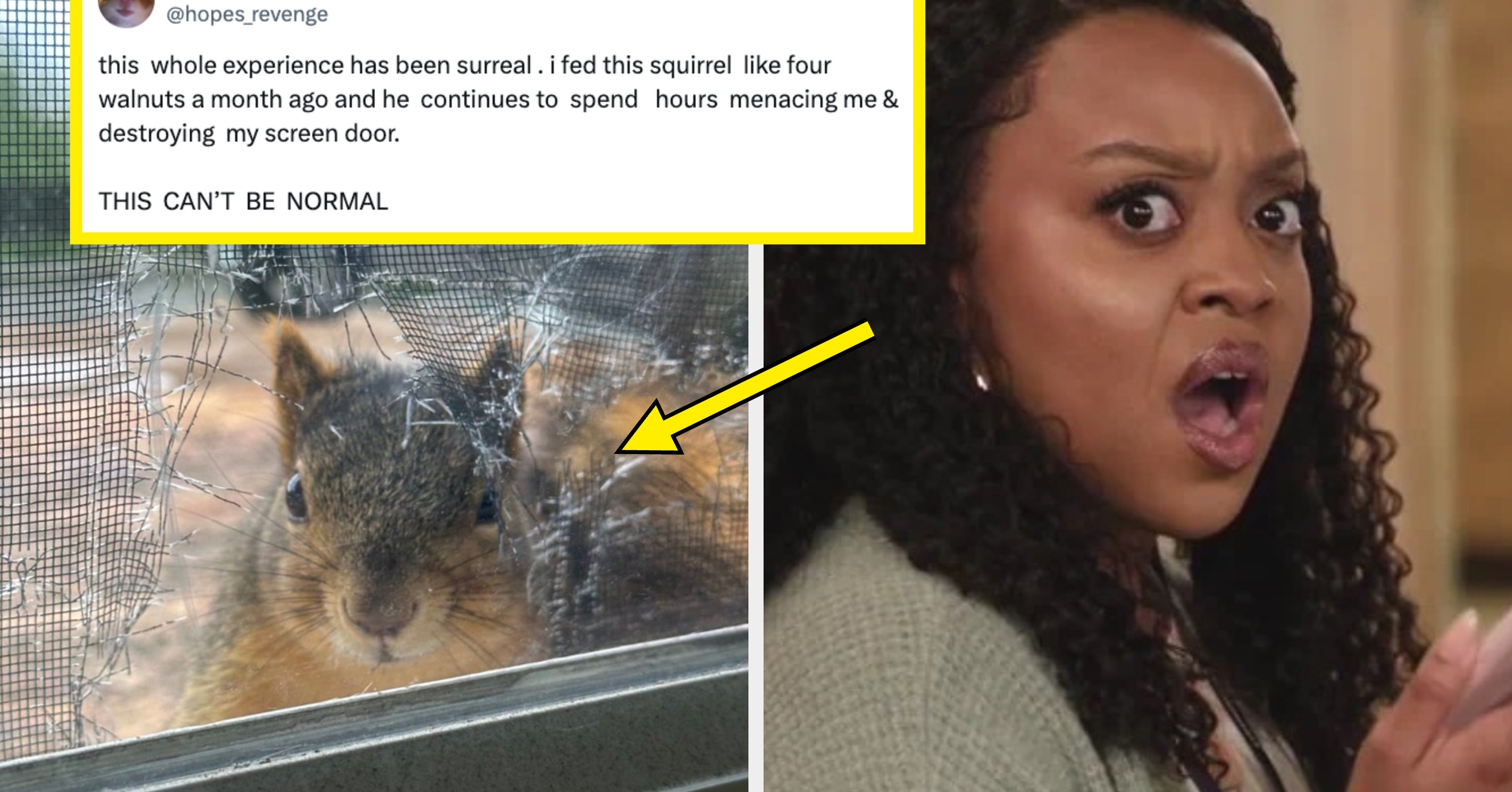 31 Hilarious Internet Fails From Last Week
