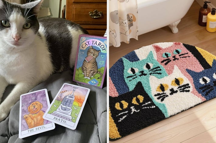 Left: Cat with cat-themed tarot cards. Right: Bathroom with a colorful cat-themed rug on the floor