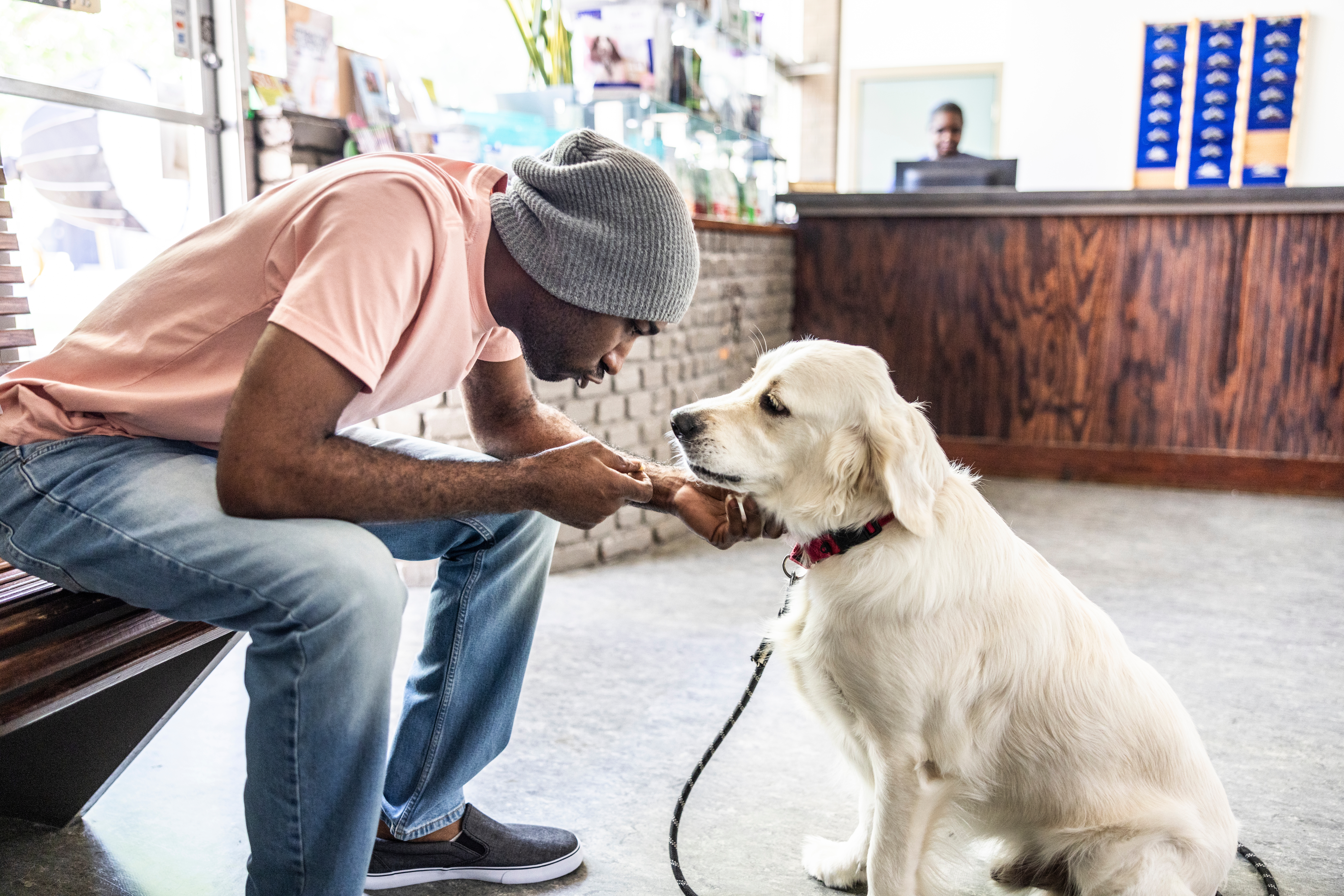 Mann i et uformelt antrekk, iført lue, sitter på en benk i en dyrebutikk og samhandler forsiktig med en sittende Golden Retriever