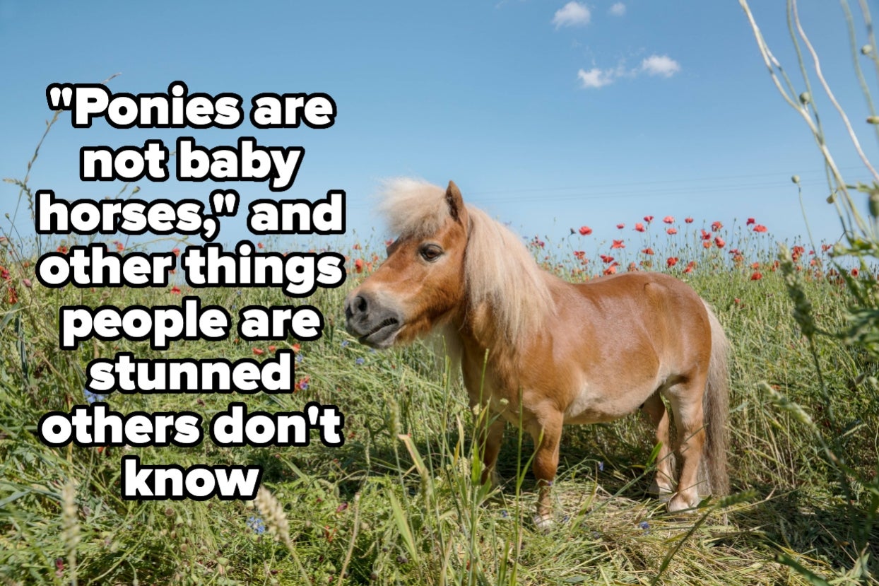 People Are Revealing The Things They Thought Everyone Knew But Actually Most People Have No Clue About