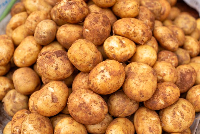 A pile of fresh, unwashed potatoes