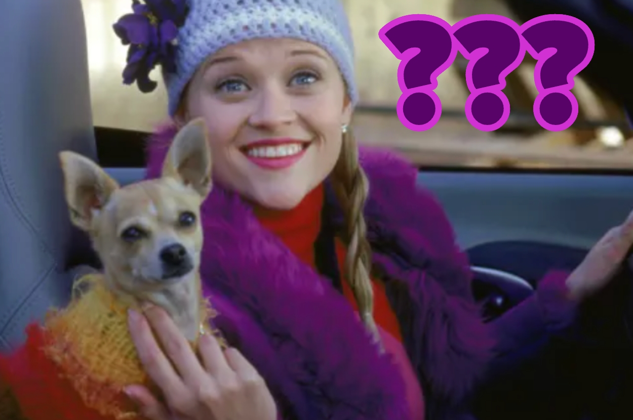 Woman in fashionable hat and fur-trimmed coat smiles in car with small dog. Purple question marks above her
