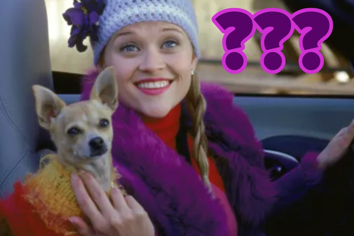 Live A Day As A Dog And I Will Tell You Which Dog Breed You Are