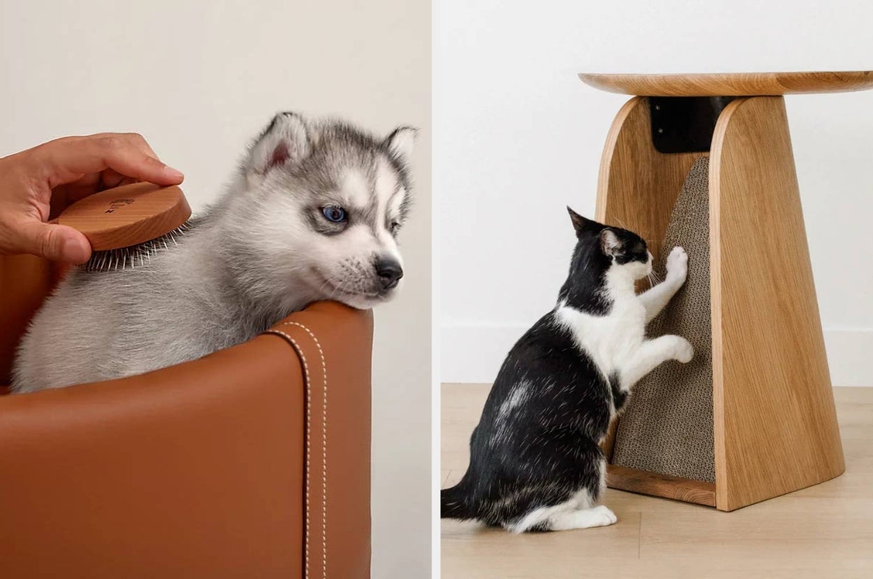 Husky puppy getting brushed on the left; cat using a wooden scratcher on the right. Ideal pet grooming and furniture products