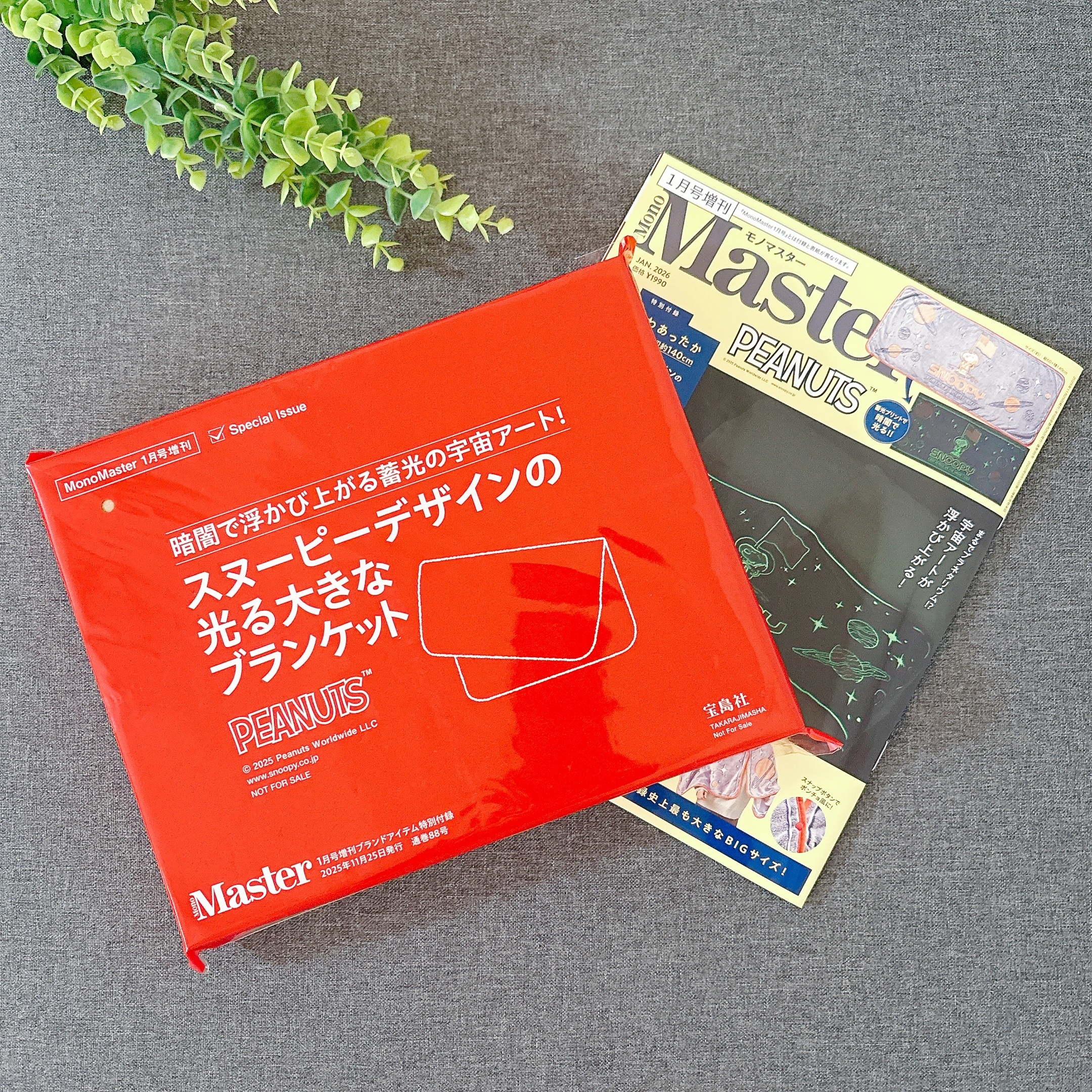 これ雑誌付録でいいの？スヌーピーの「あったか防寒グッズ」大きな