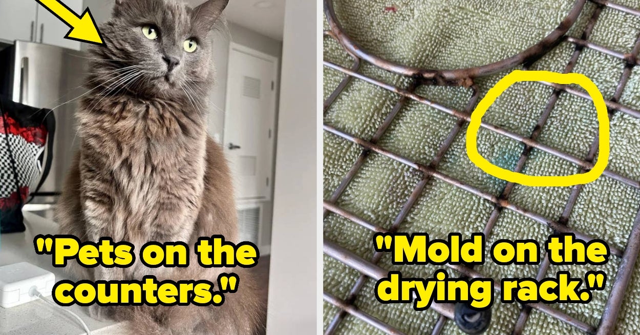 People Are Sharing The "Red Flag" Items They Saw In Another Person's House, And YIKES