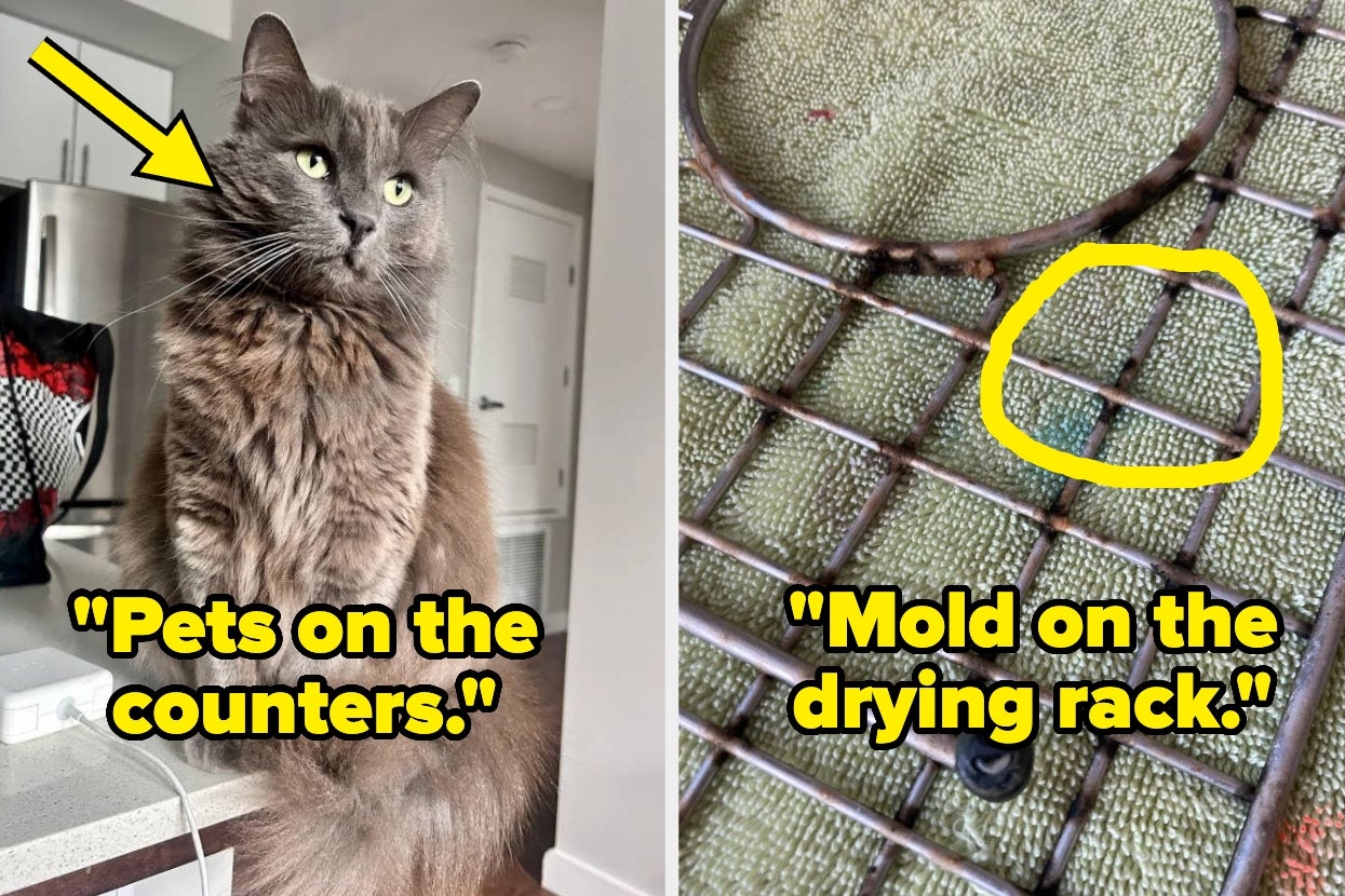 "It Was Unbelievably Nasty": People Are Sharing The Most "Red Flag-Coded" Things They've Seen While Visiting Another Person's House