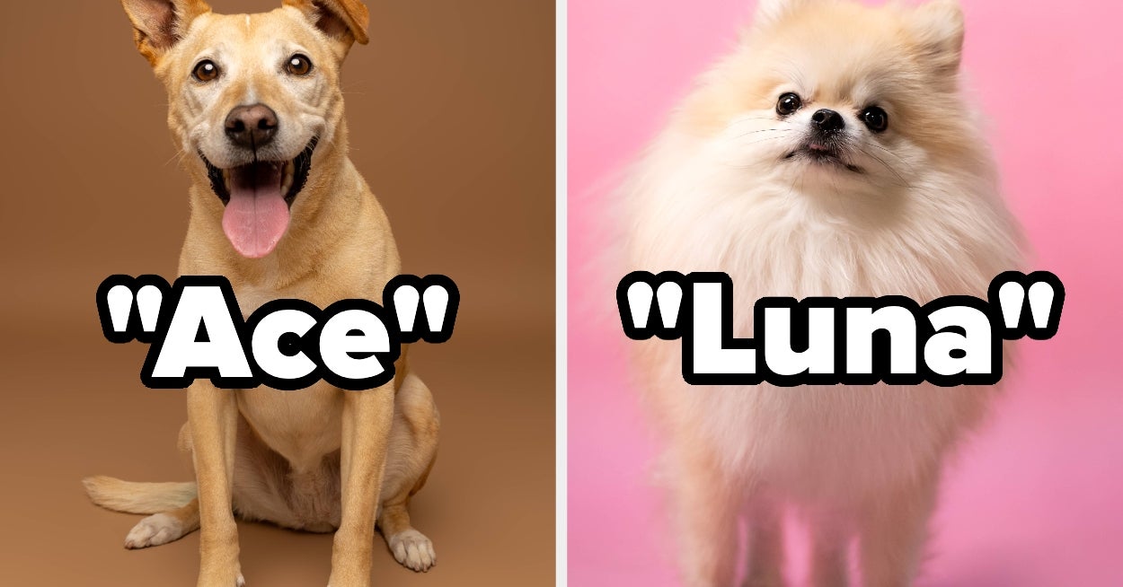 How Do You Really Feel About These 25 Popular Dog Names Of 2025?