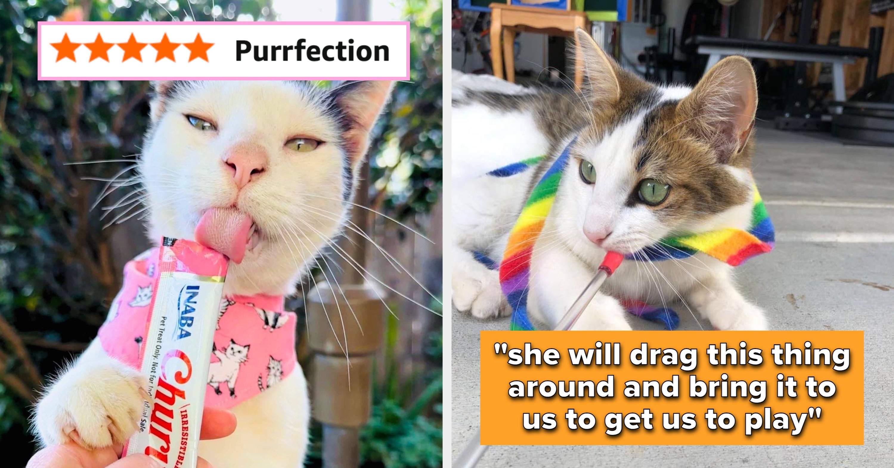 If Your Cat Is The Center Of Your Universe, These 27 Pet Products Will Earn You Infinite Cuddles