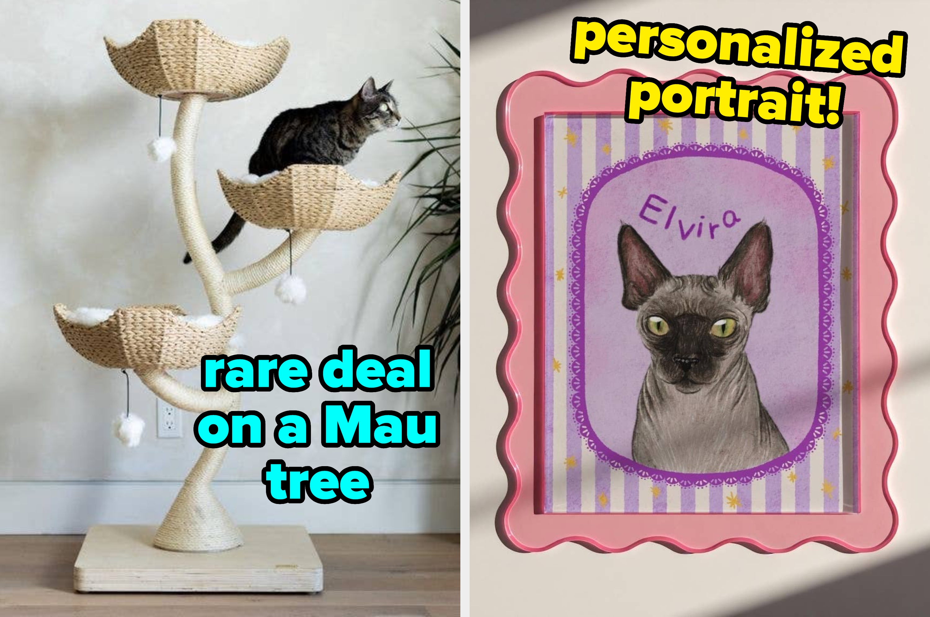 a three tier mau tree that's rarely on sale / a personalized pet portrait