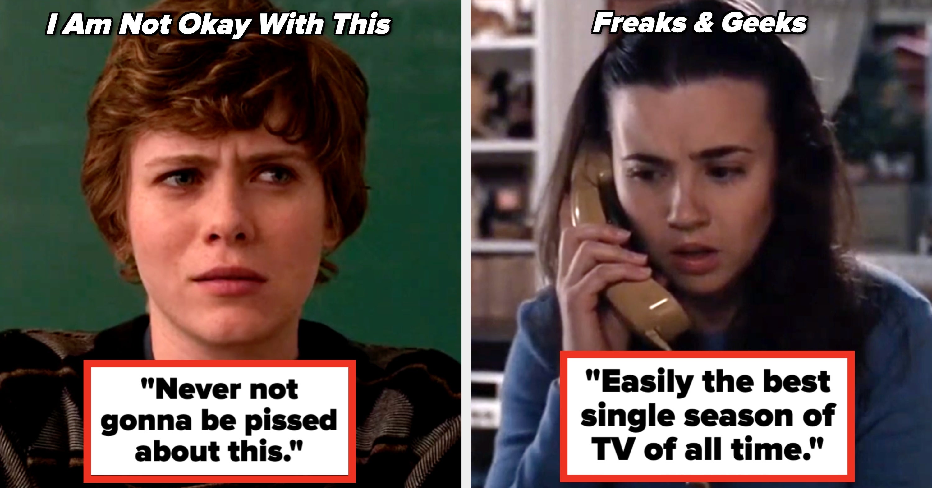 "I'll Forever Be Bitter": 31 Mind-Blowingly Good TV Series That Ended Wayyyy Too Early