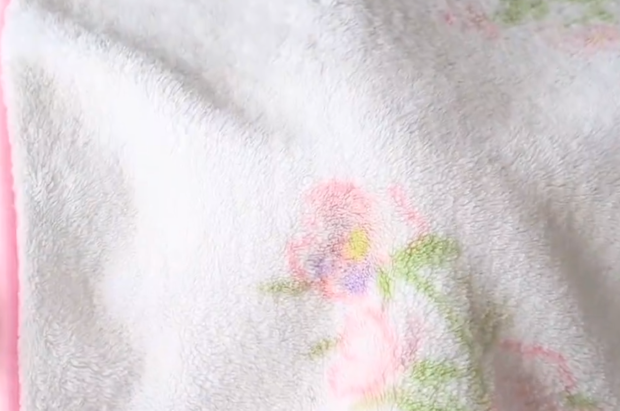 眠るこまちちゃん / 飼い主さんのXアカウント（@komachiaya_）より