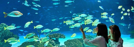 サンシャイン水族館 / プレスリリースより