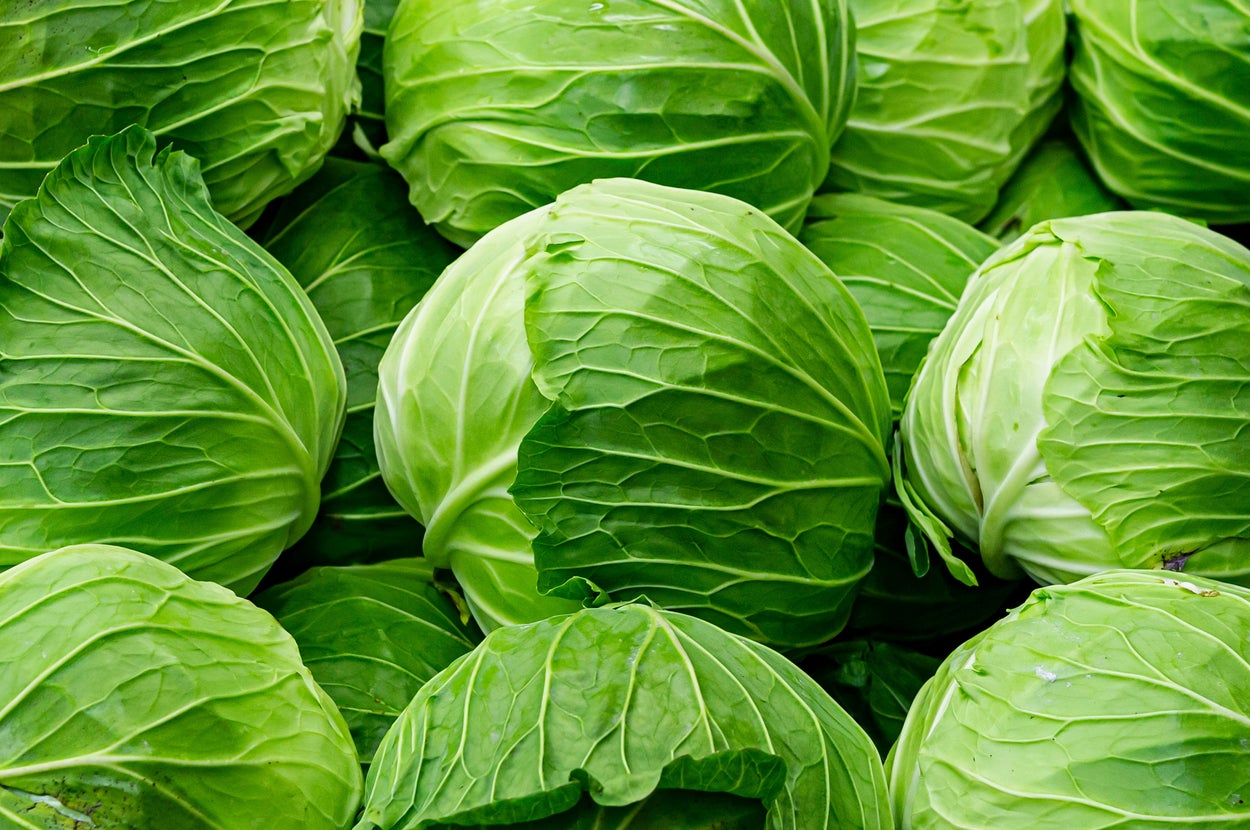 たくさんの新鮮なキャベツが積み重なっている。