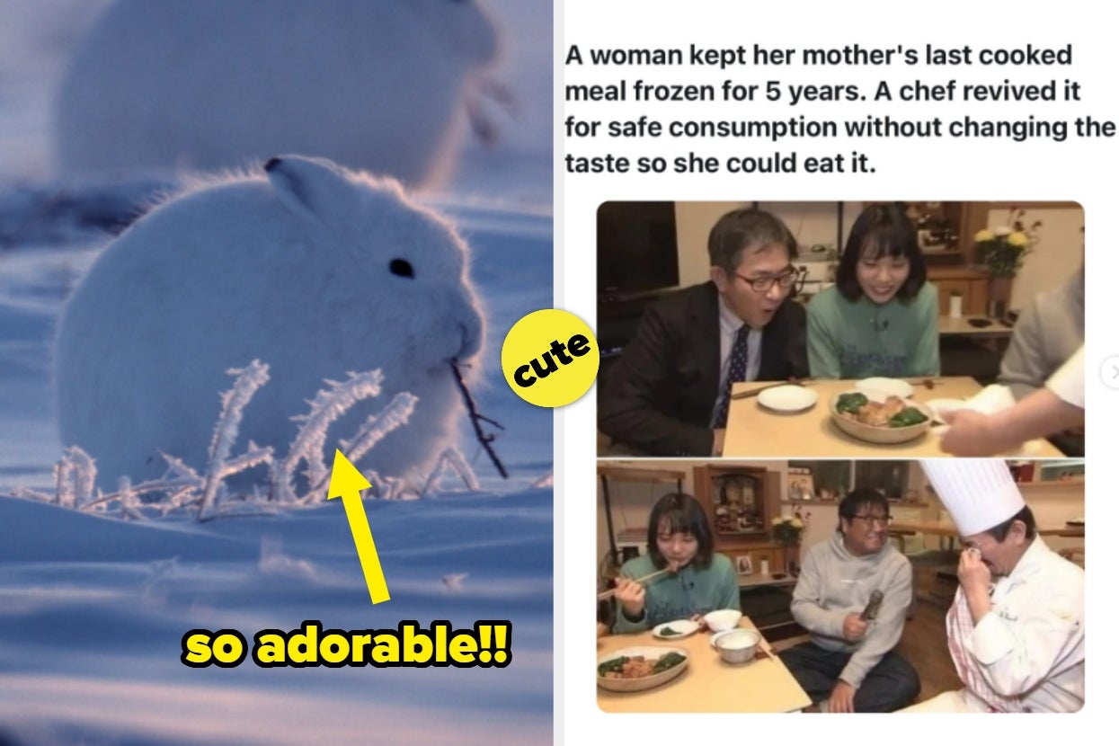 22 Wholesome Internet Posts That Are So Cute I Might Actually Punch A Wall