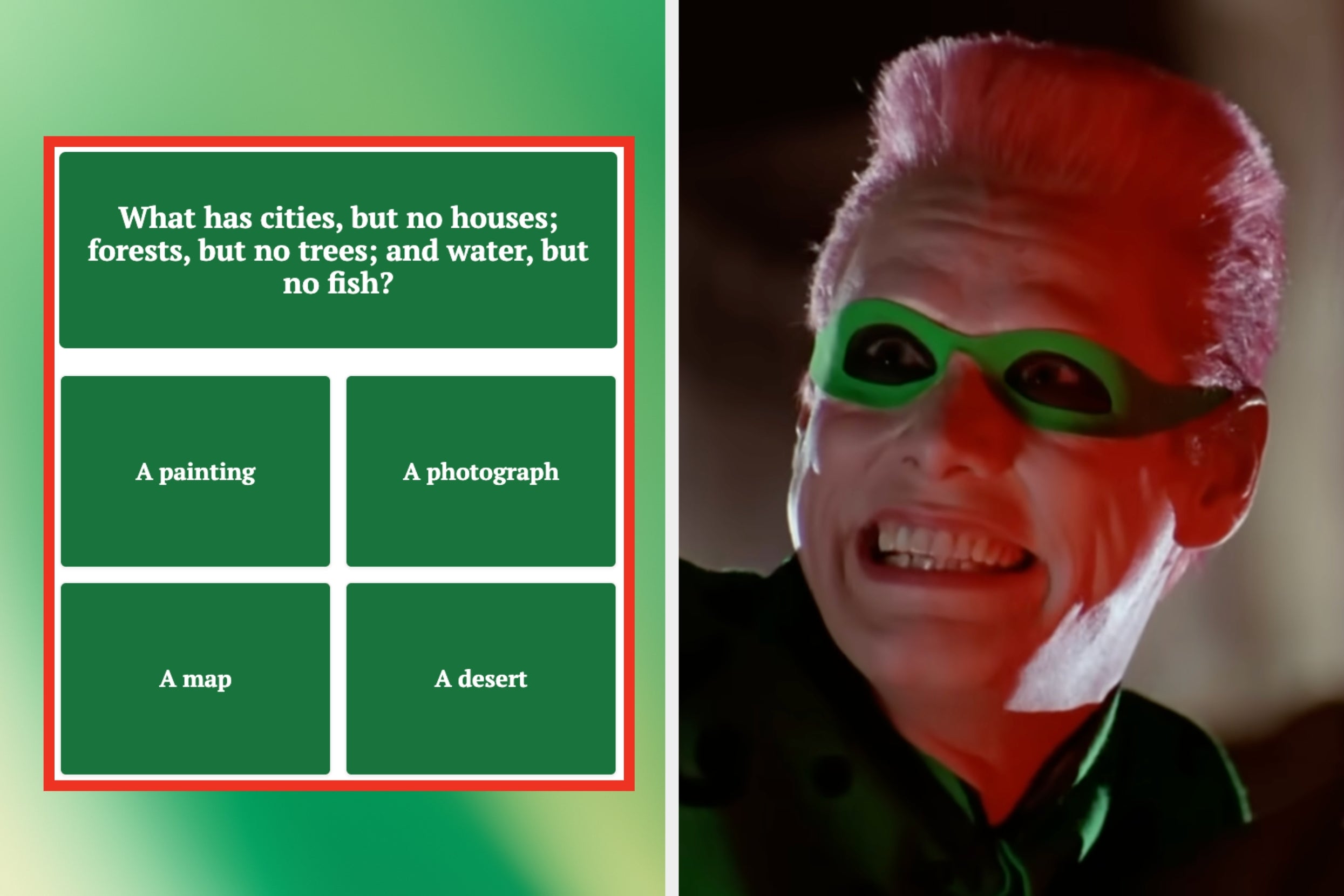 Your Brain Is Wrinklier Than A Hairless Cat If You Can Get More Than 10/12 On This Riddle Quiz