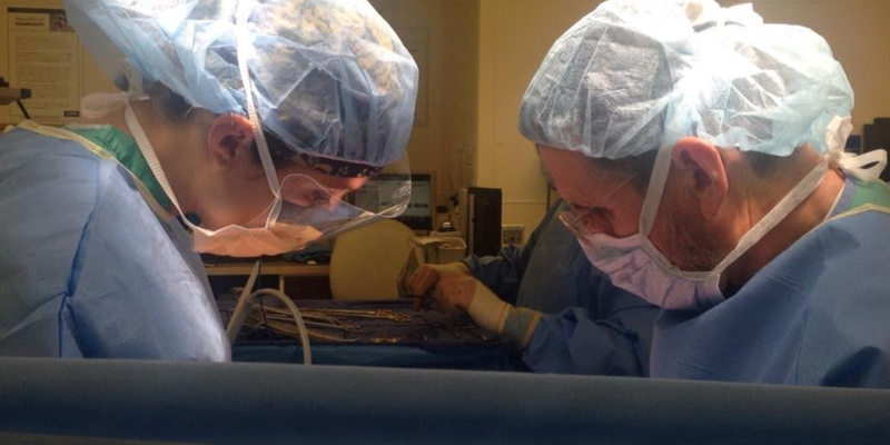 I’m A Surgeon. I’m Also Child-Free — And 6 Words From A Colleague About My Life Left Me Stunned.