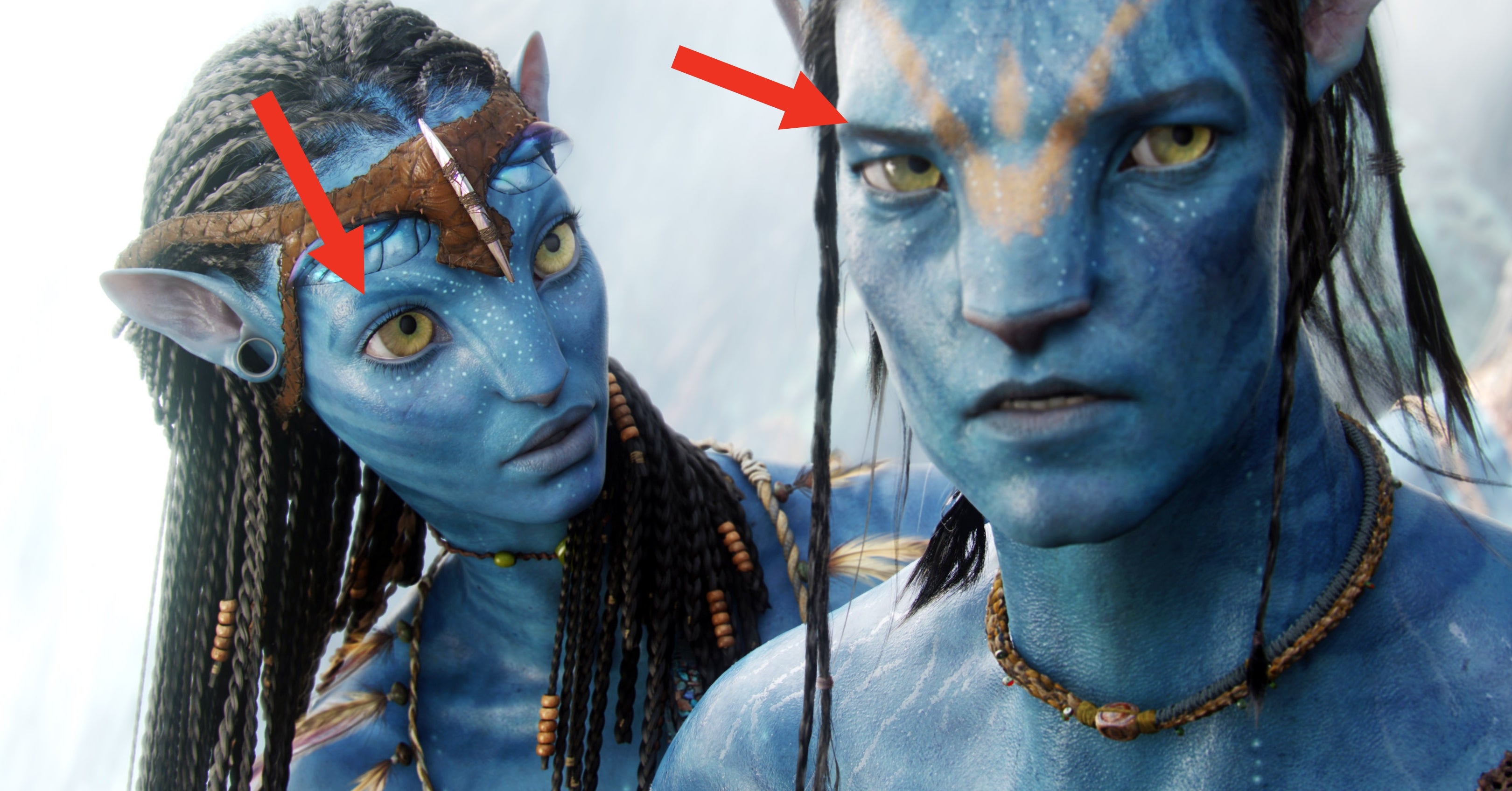I Can't Watch “Avatar” The Same Way After Learning 24 Facts