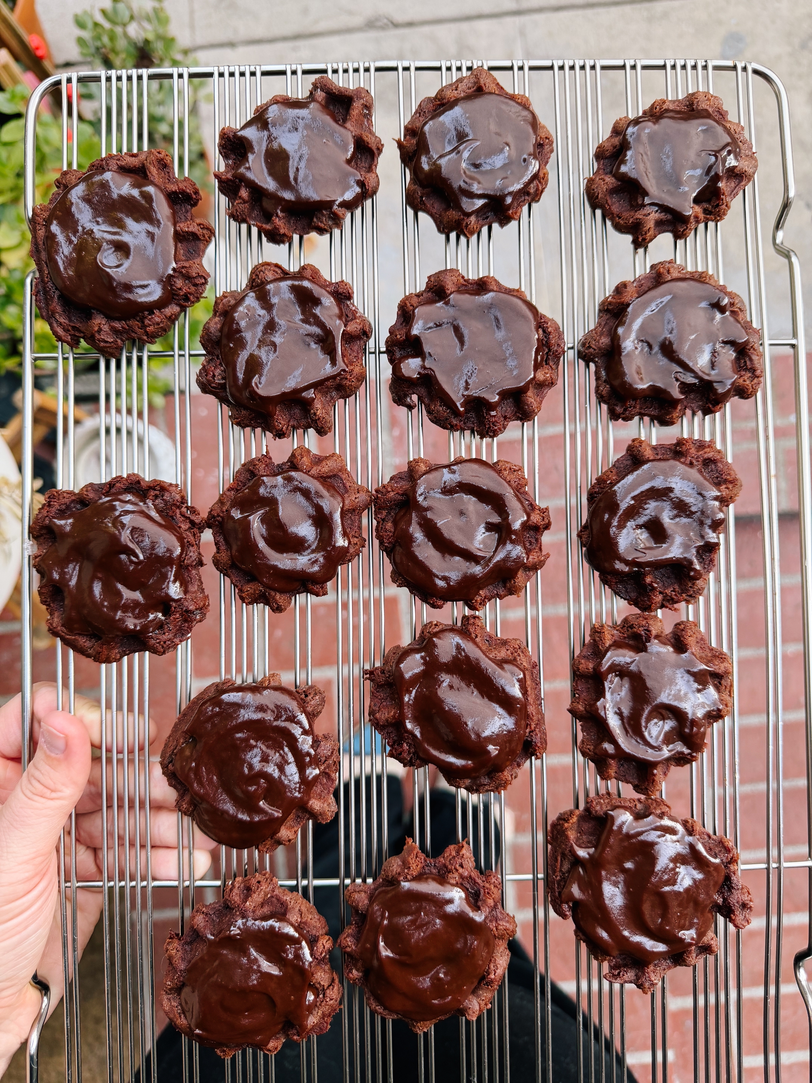 A person holds a cooling rack with 18 chocolate cookies topped with glossy chocolate icing
