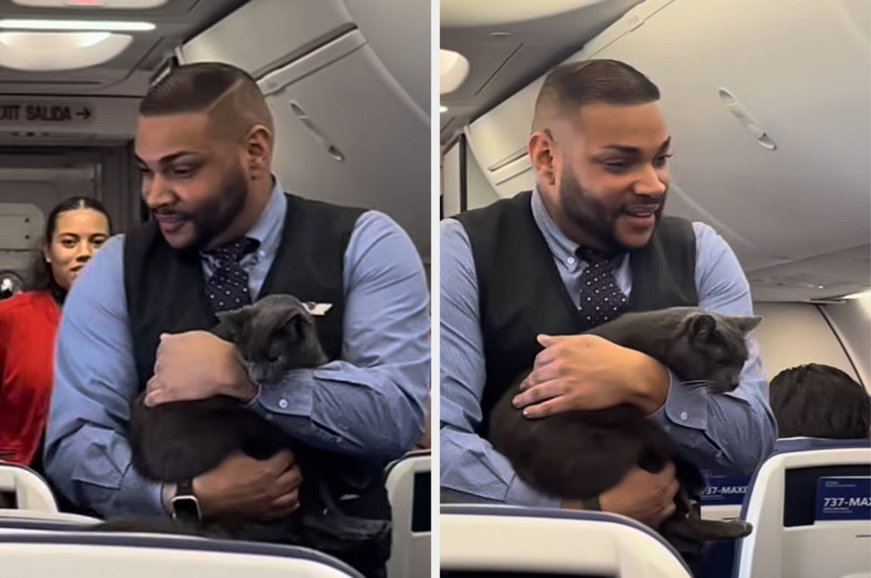 客室乗務員が猫を抱えて微笑んでいる飛行機内での光景。