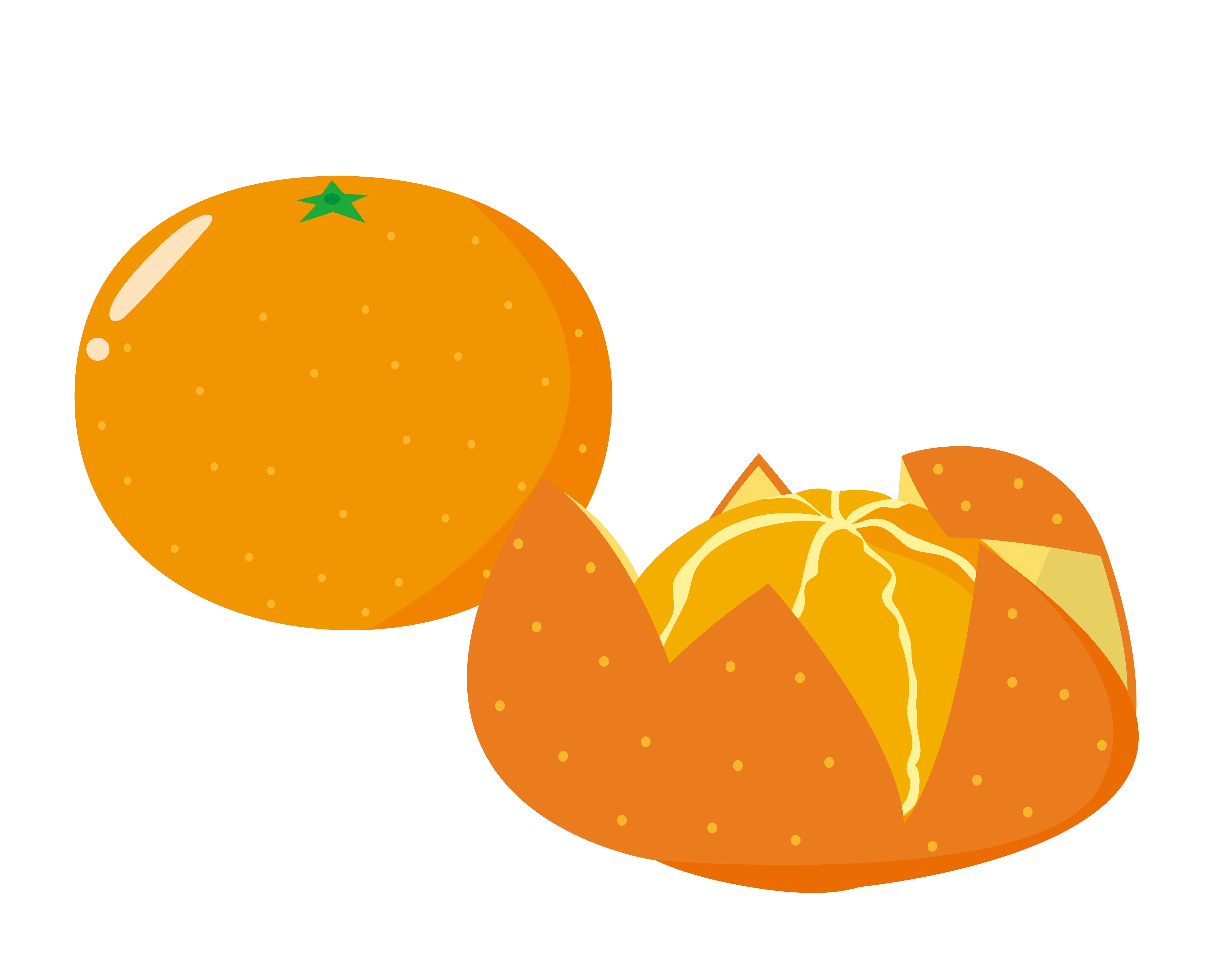 みかんのイラスト（Nisi / Getty Images）