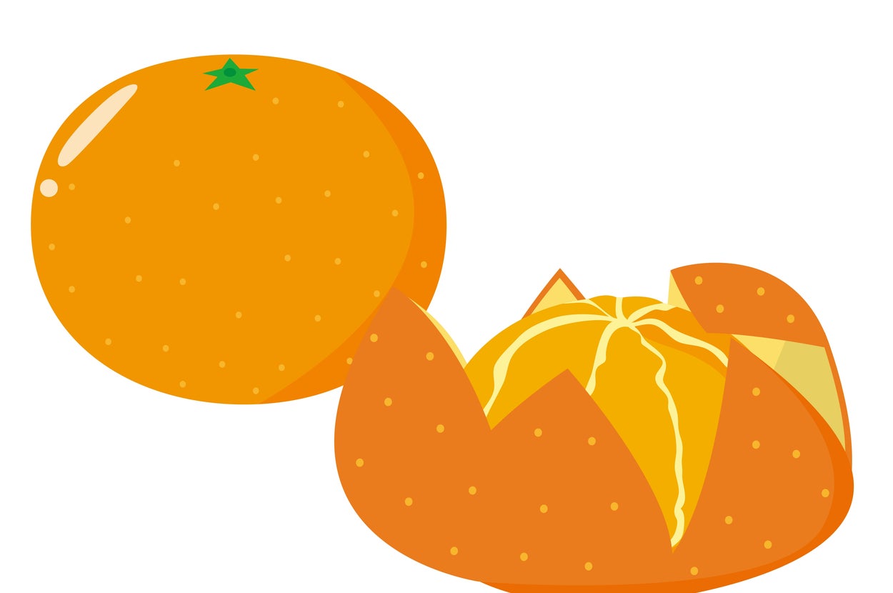 みかんのイラスト（Nisi / Getty Images）