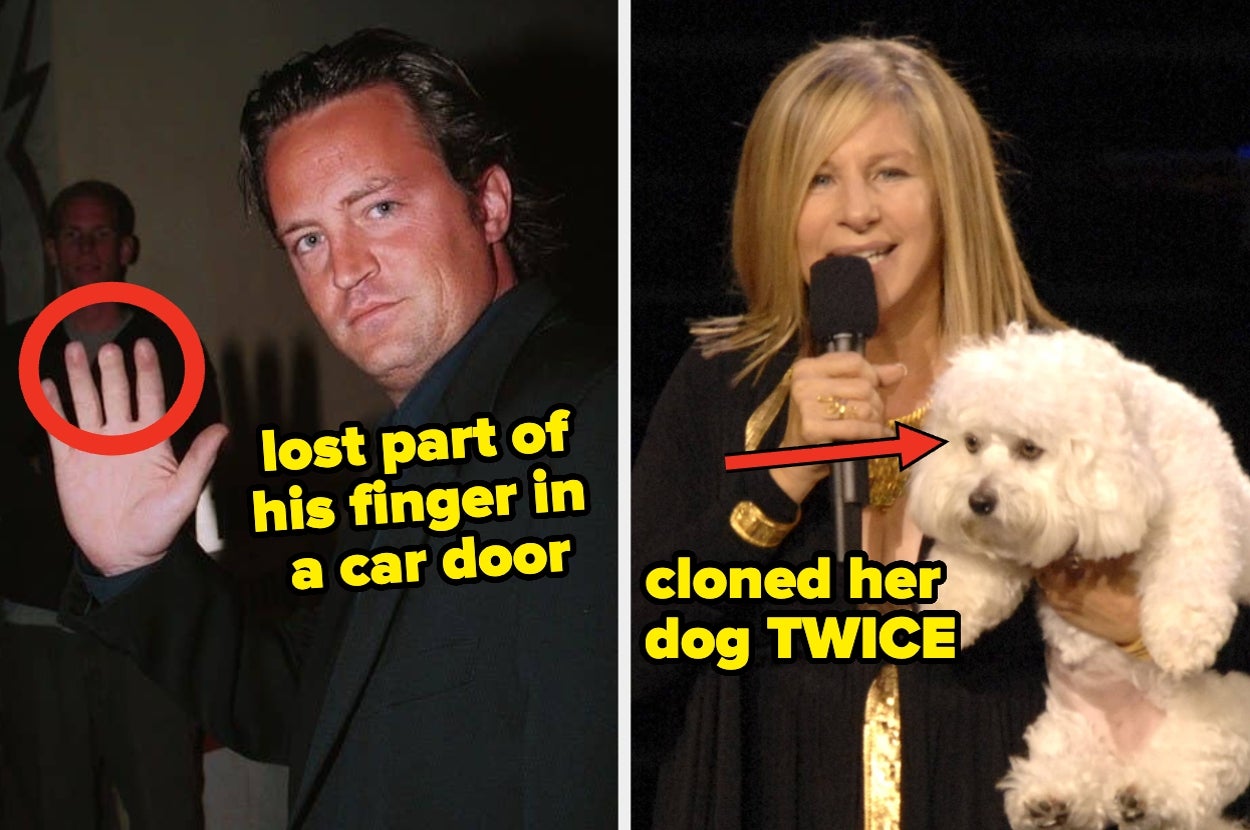 I Genuinely Cannot Look At These 29 Famous People The Same Way After Learning These Bizarre And Shocking Facts